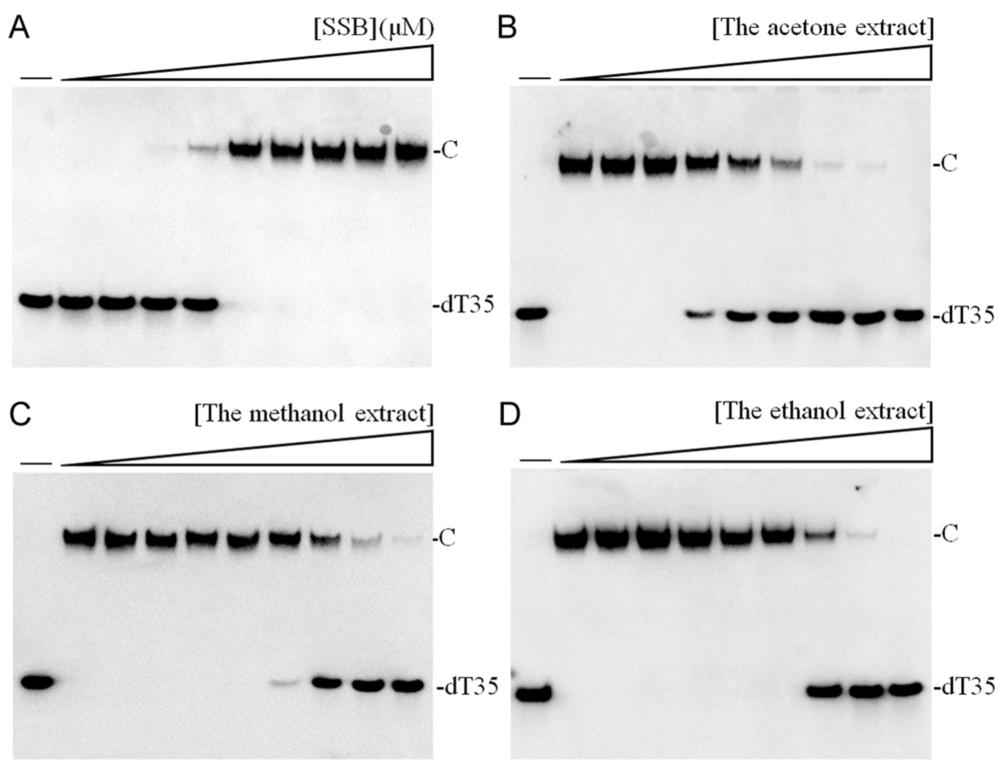 Plants 13 02194 g002