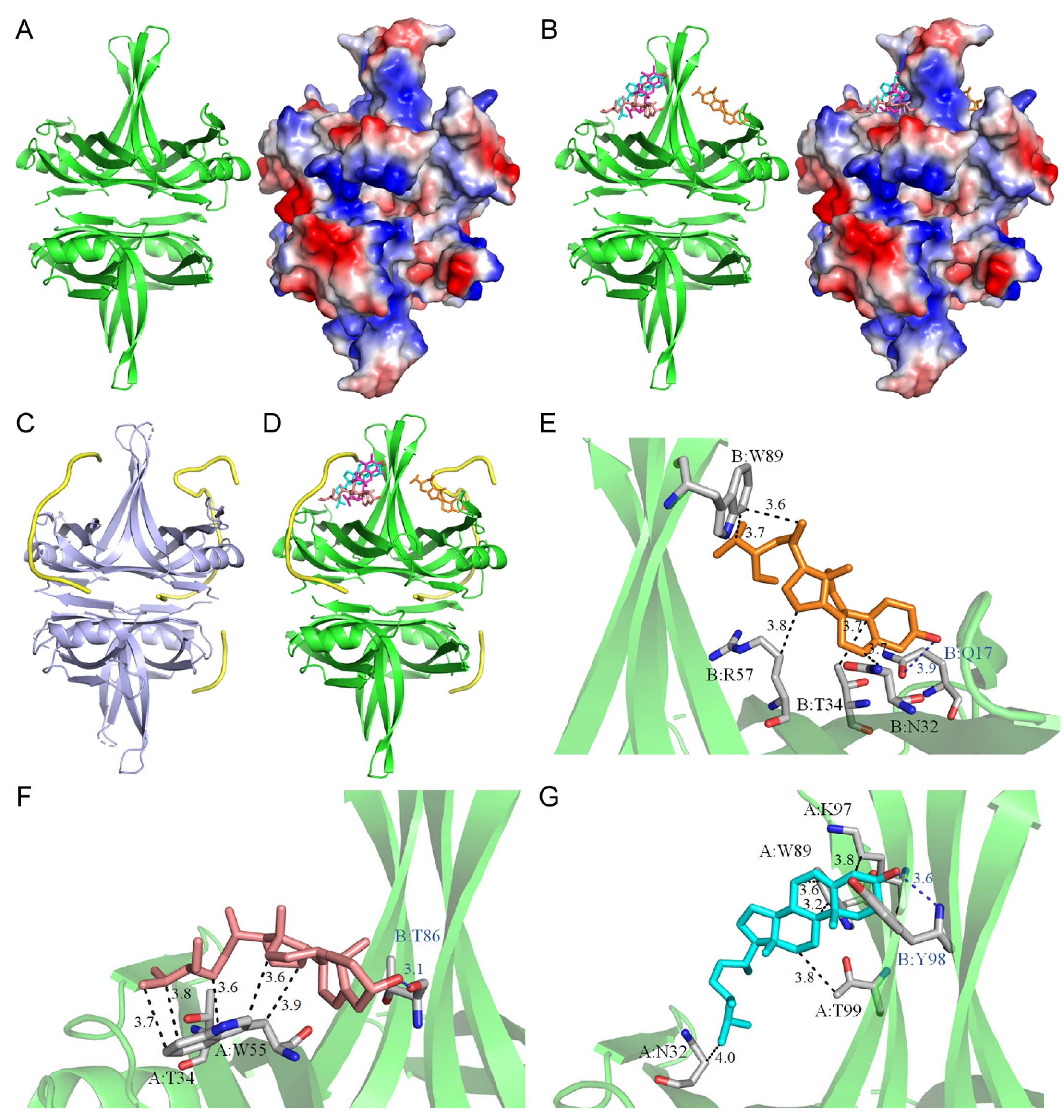Plants 13 02194 g003