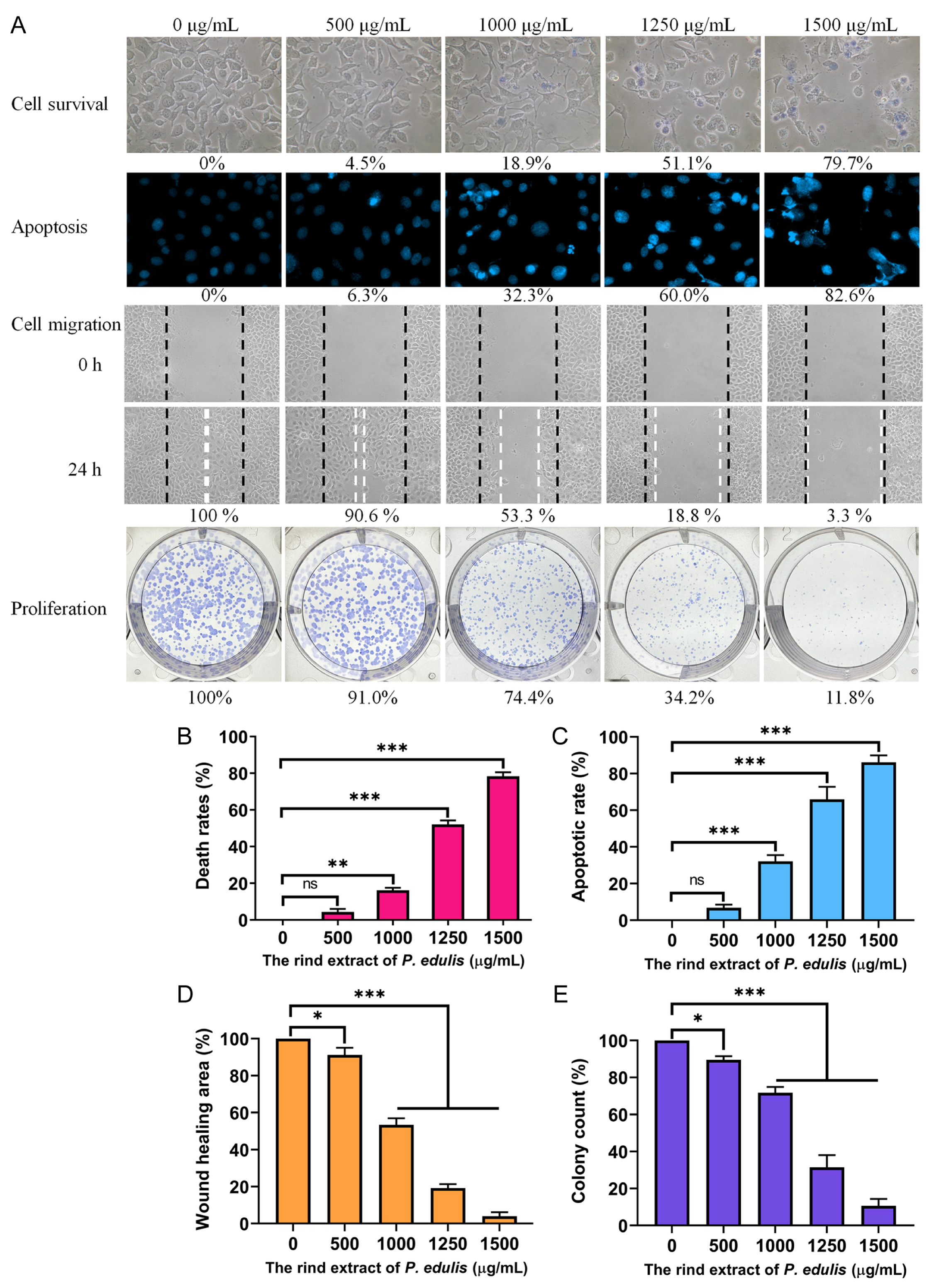 Plants 13 02194 g004