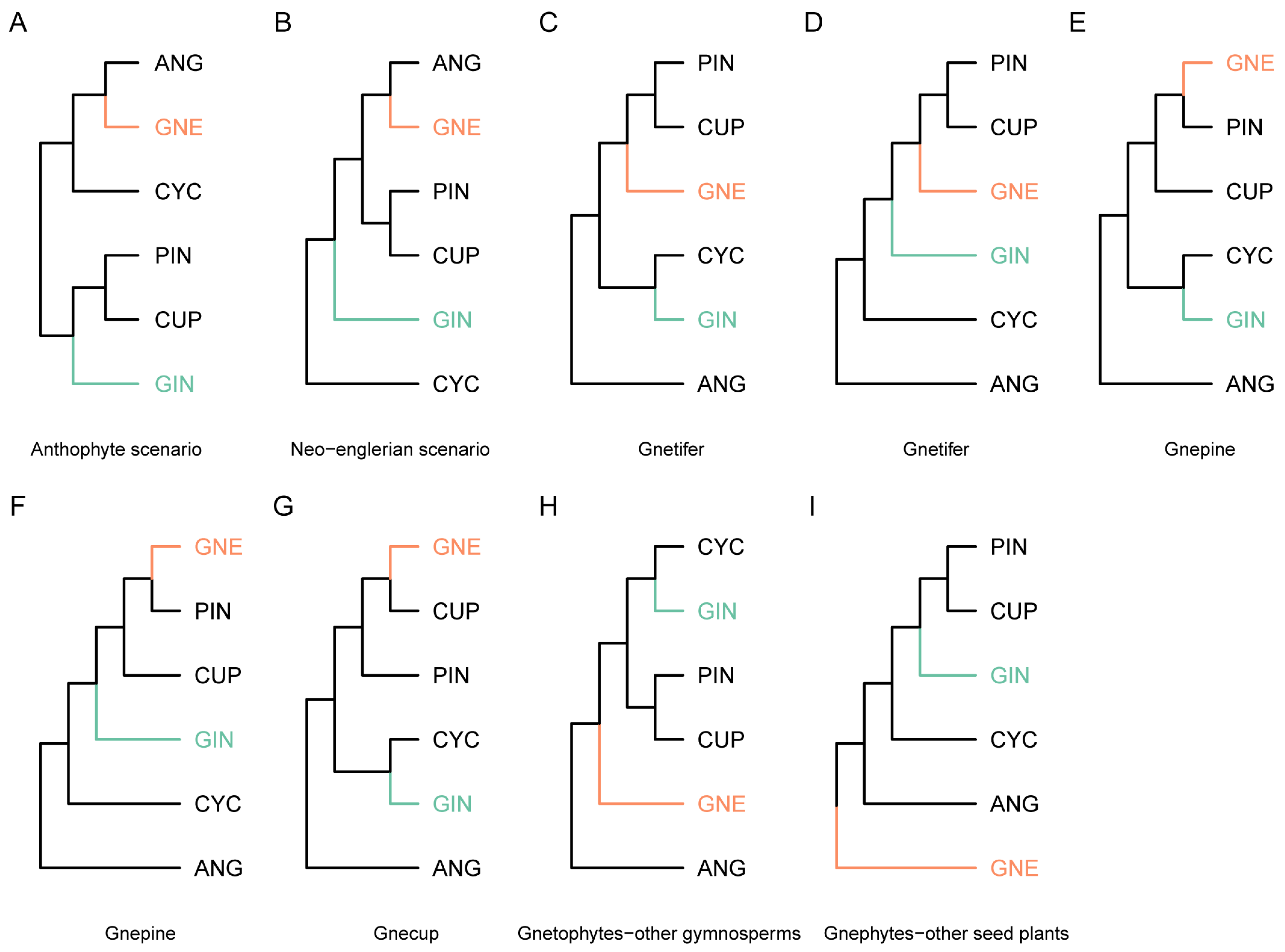 Plants 13 02196 g001
