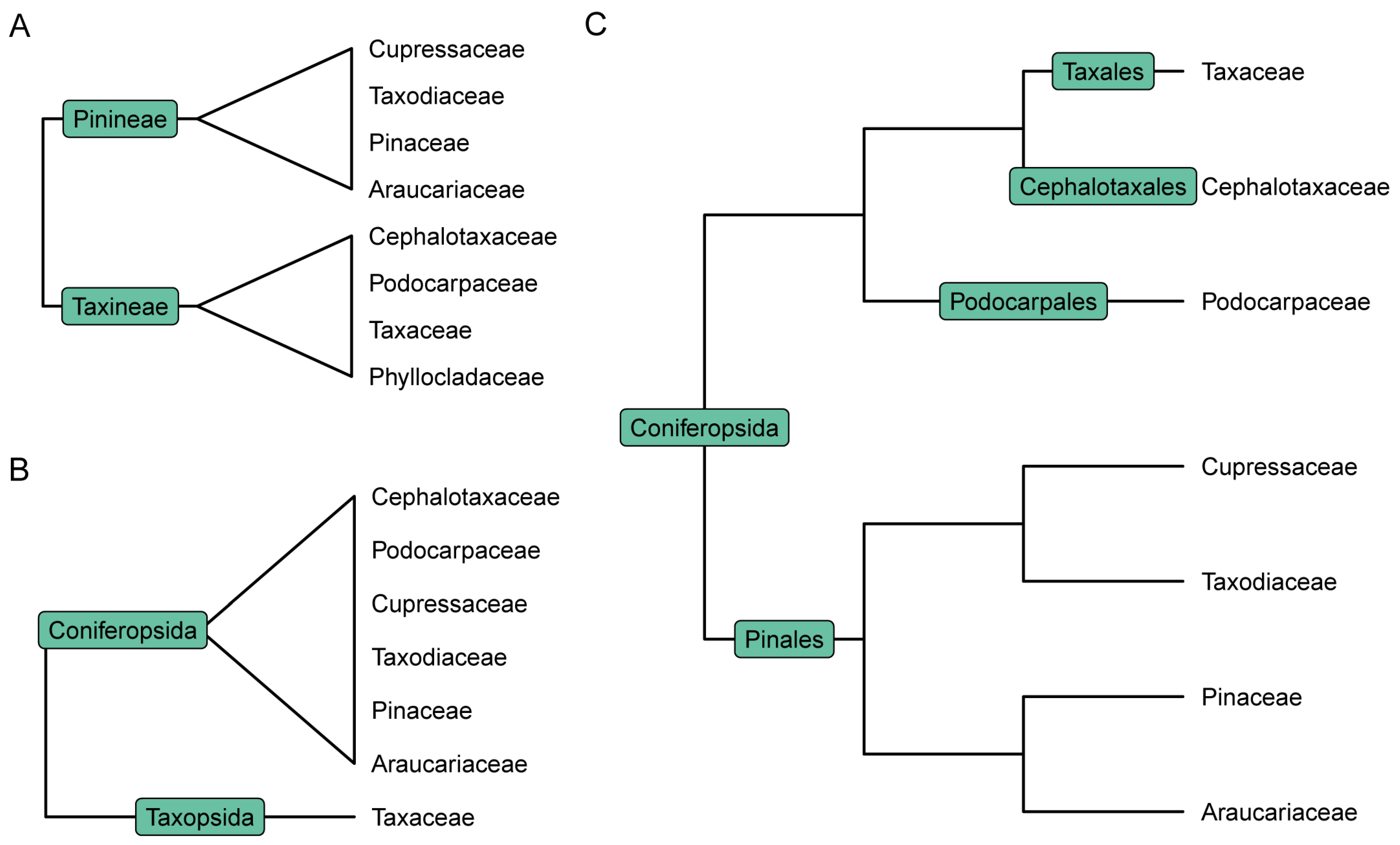 Plants 13 02196 g003
