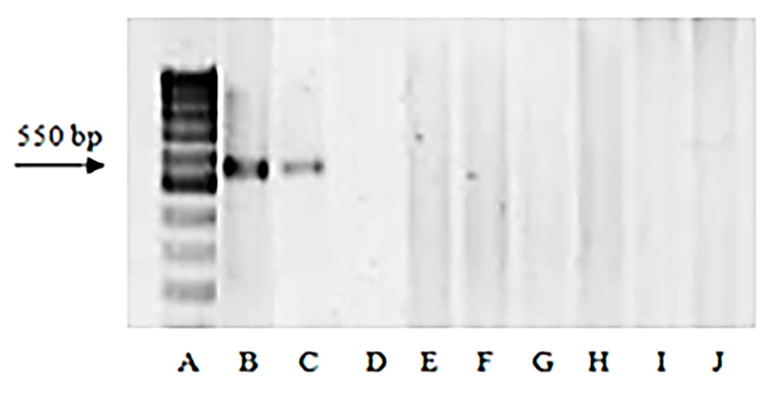 Plants 13 02199 g002