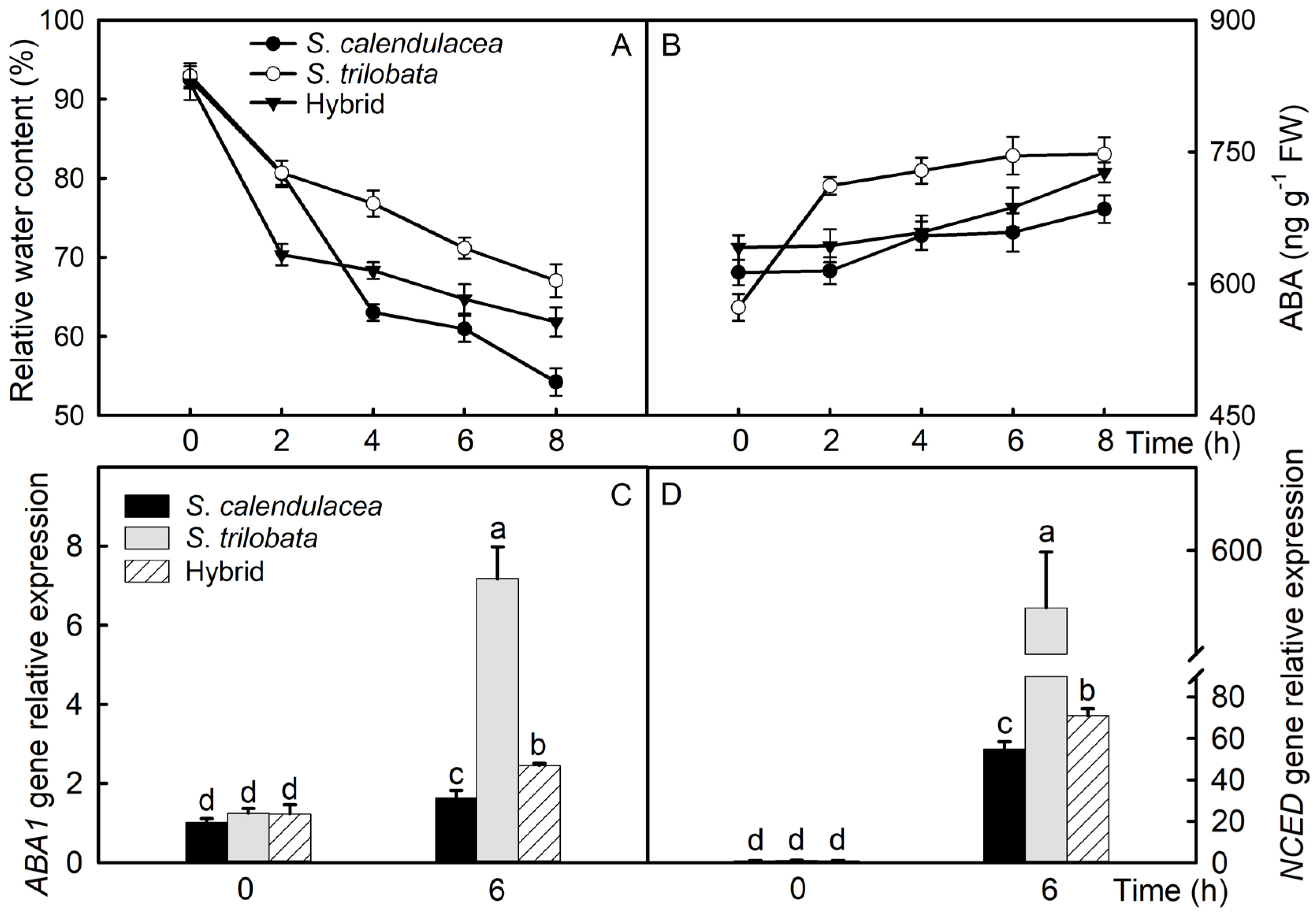 Plants 13 02207 g002