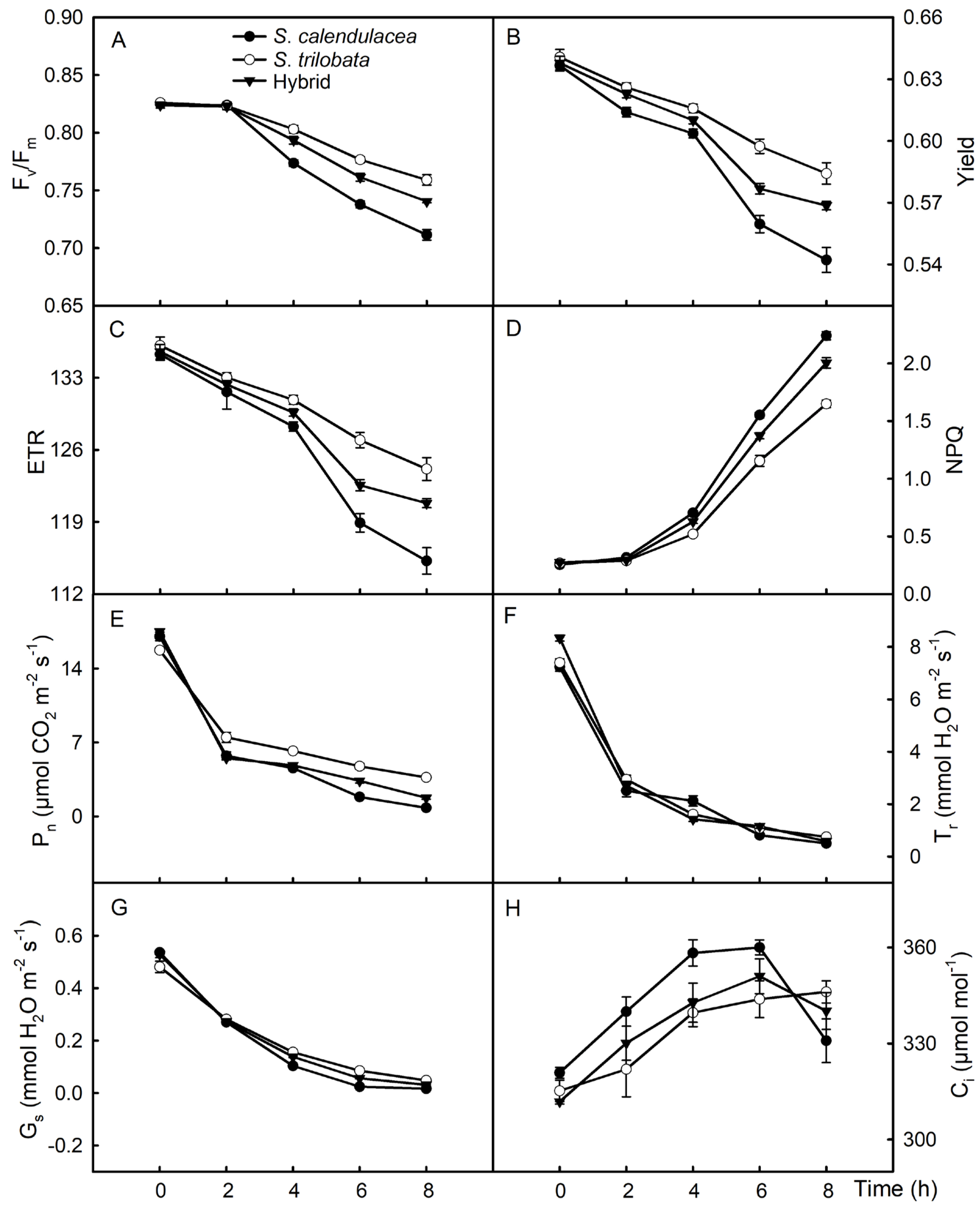 Plants 13 02207 g005