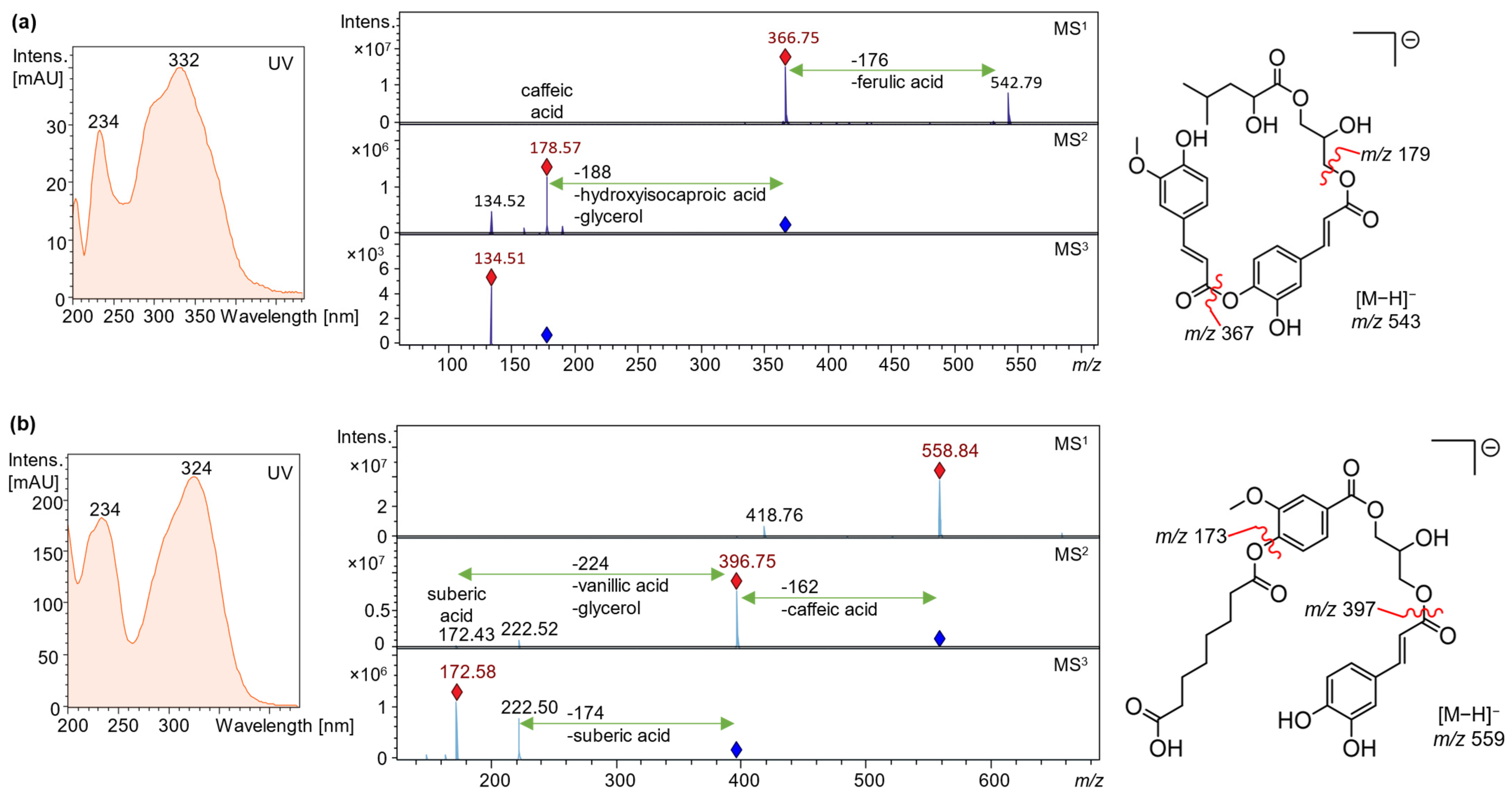 Plants 13 02208 g006