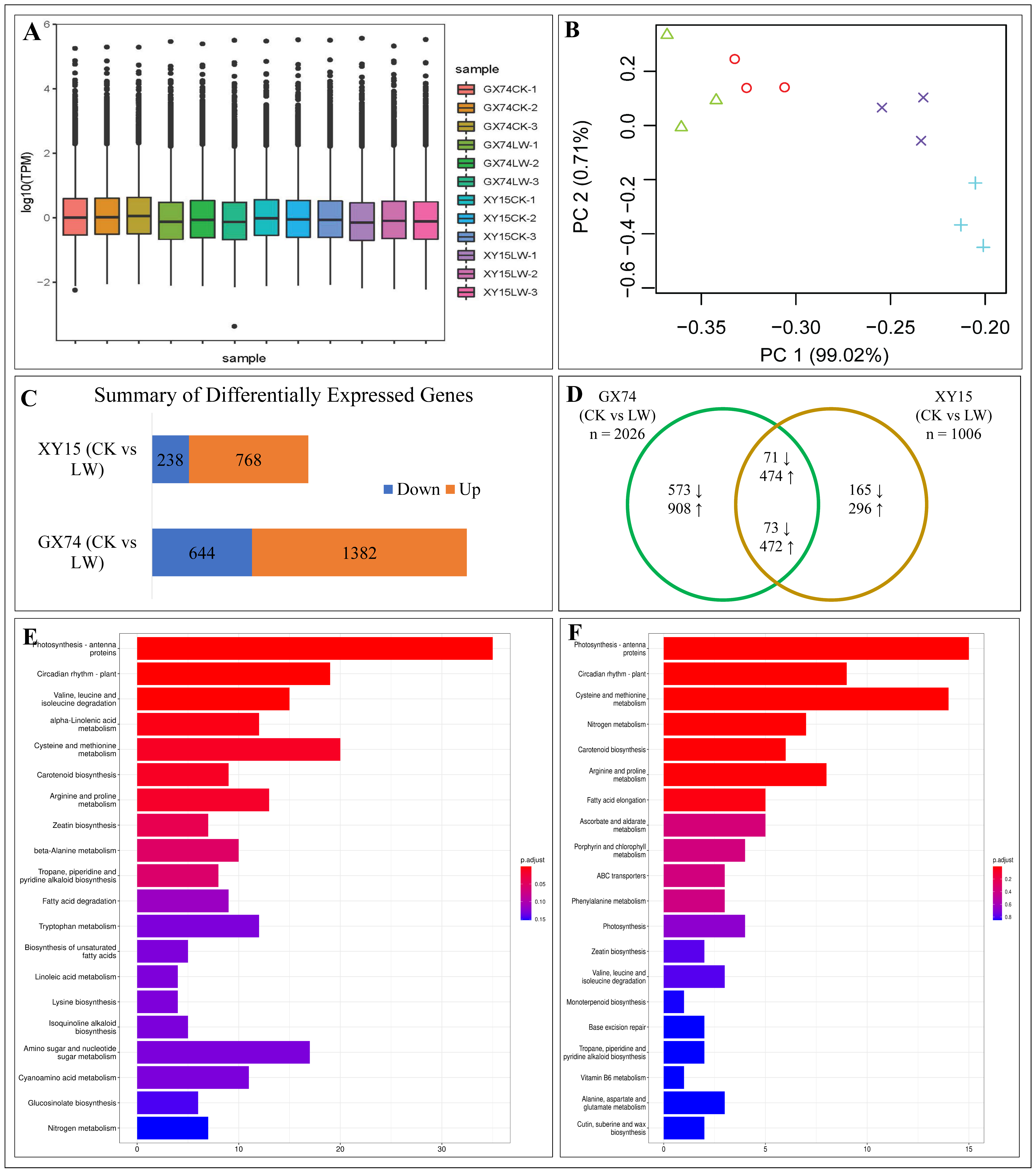 Plants 13 02212 g004