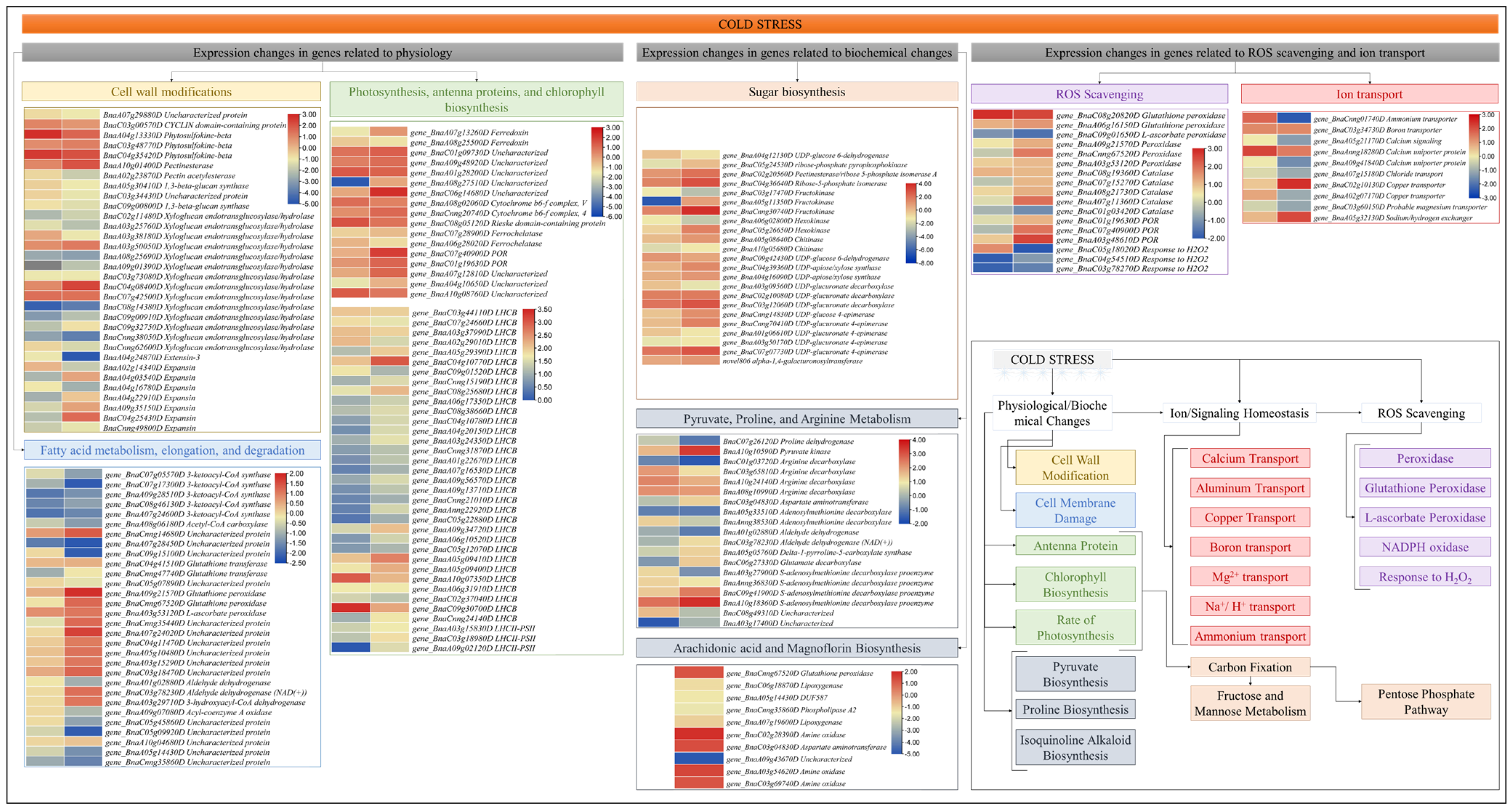 Plants 13 02212 g005