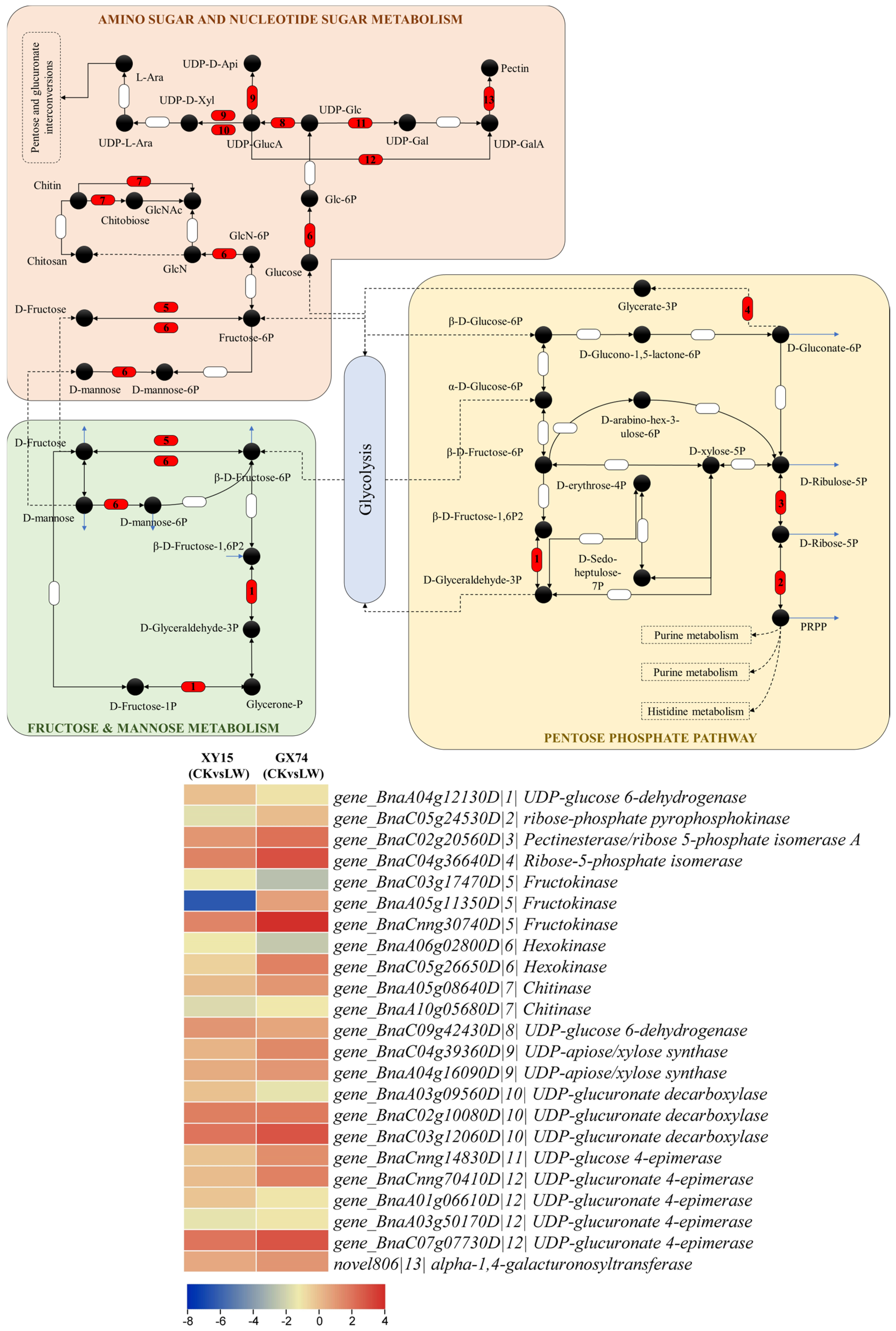 Plants 13 02212 g006