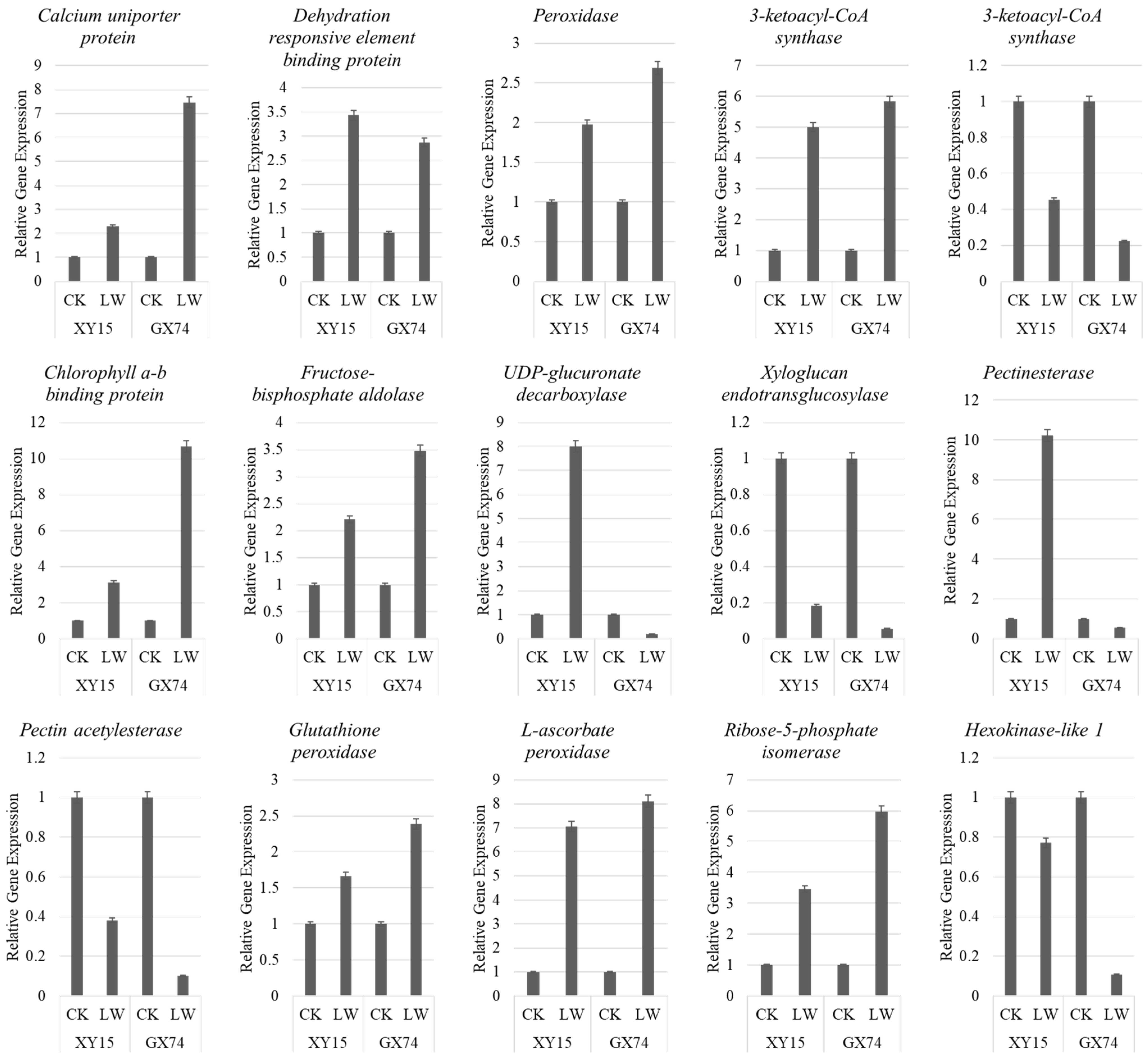 Plants 13 02212 g008