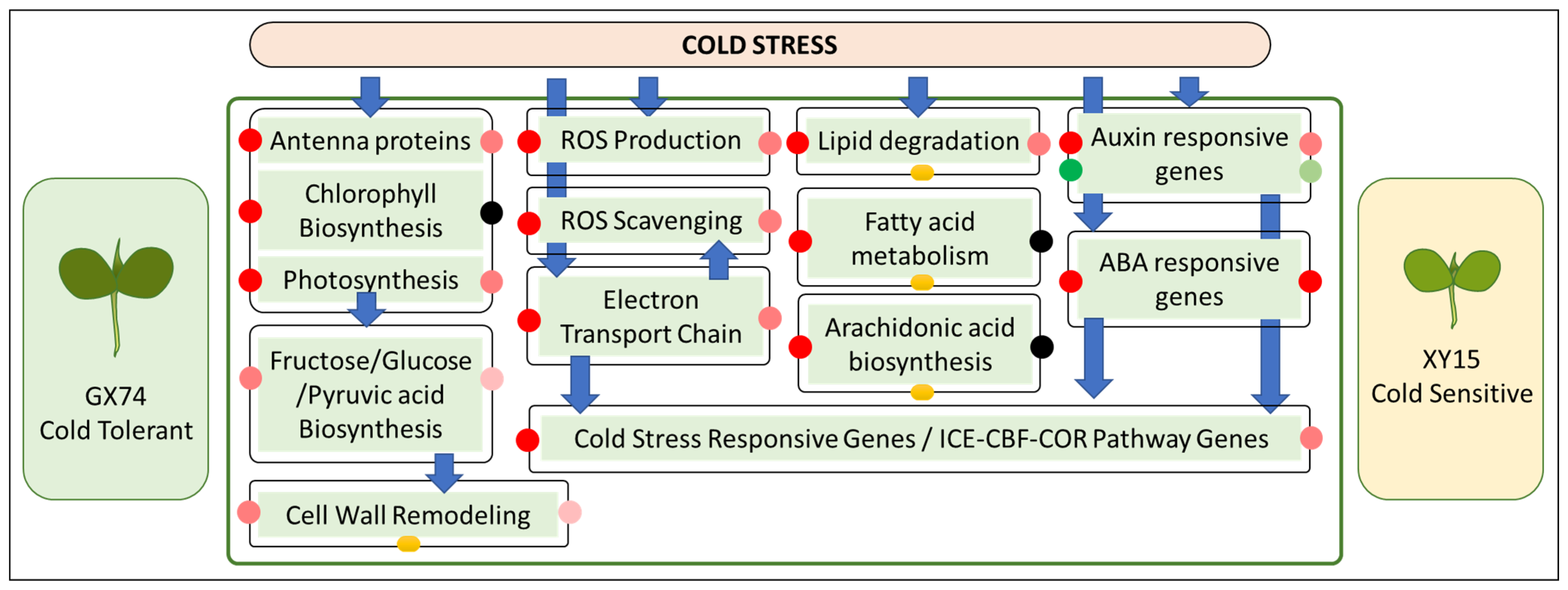 Plants 13 02212 g009