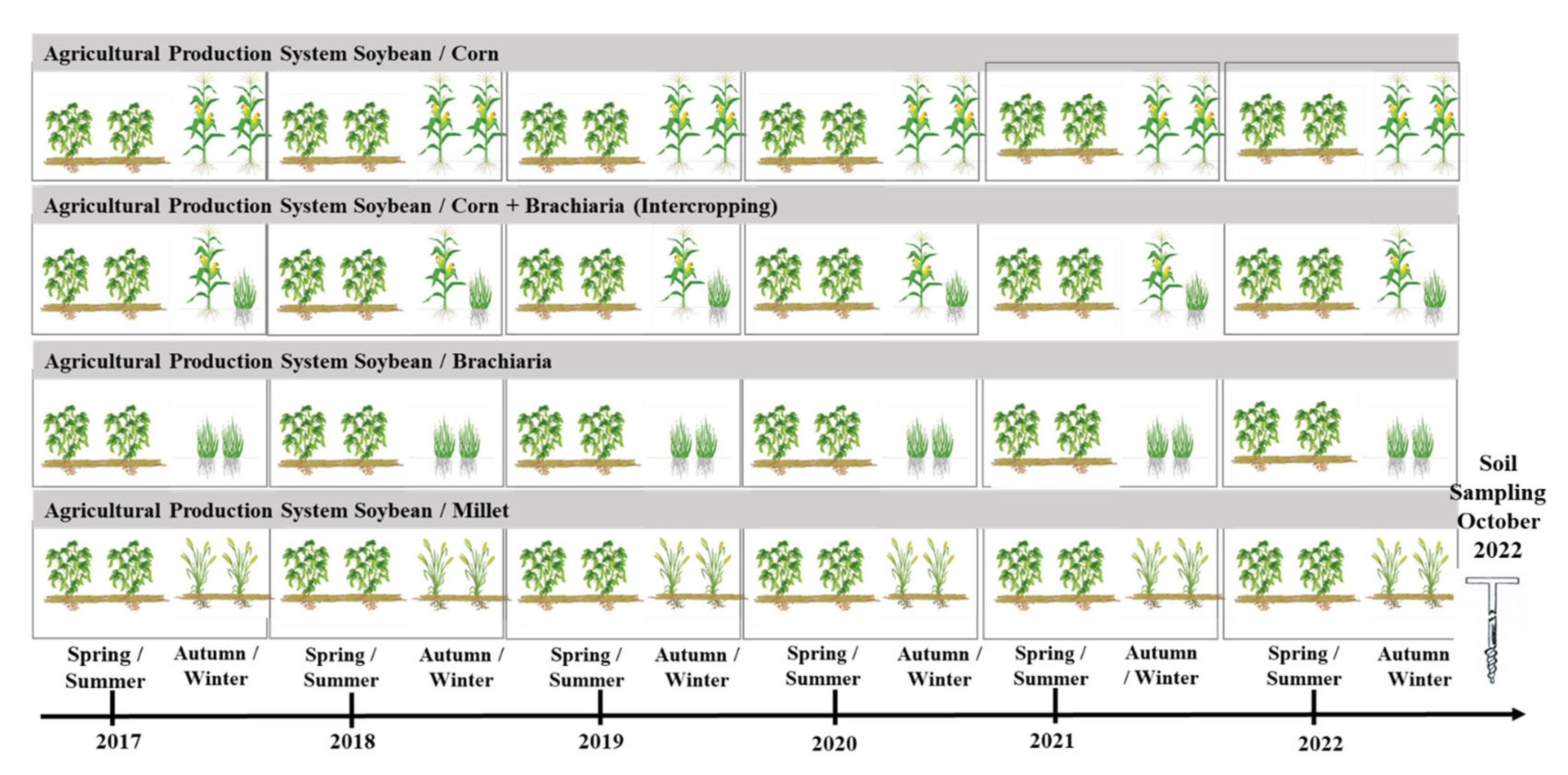 Plants 13 02217 g007