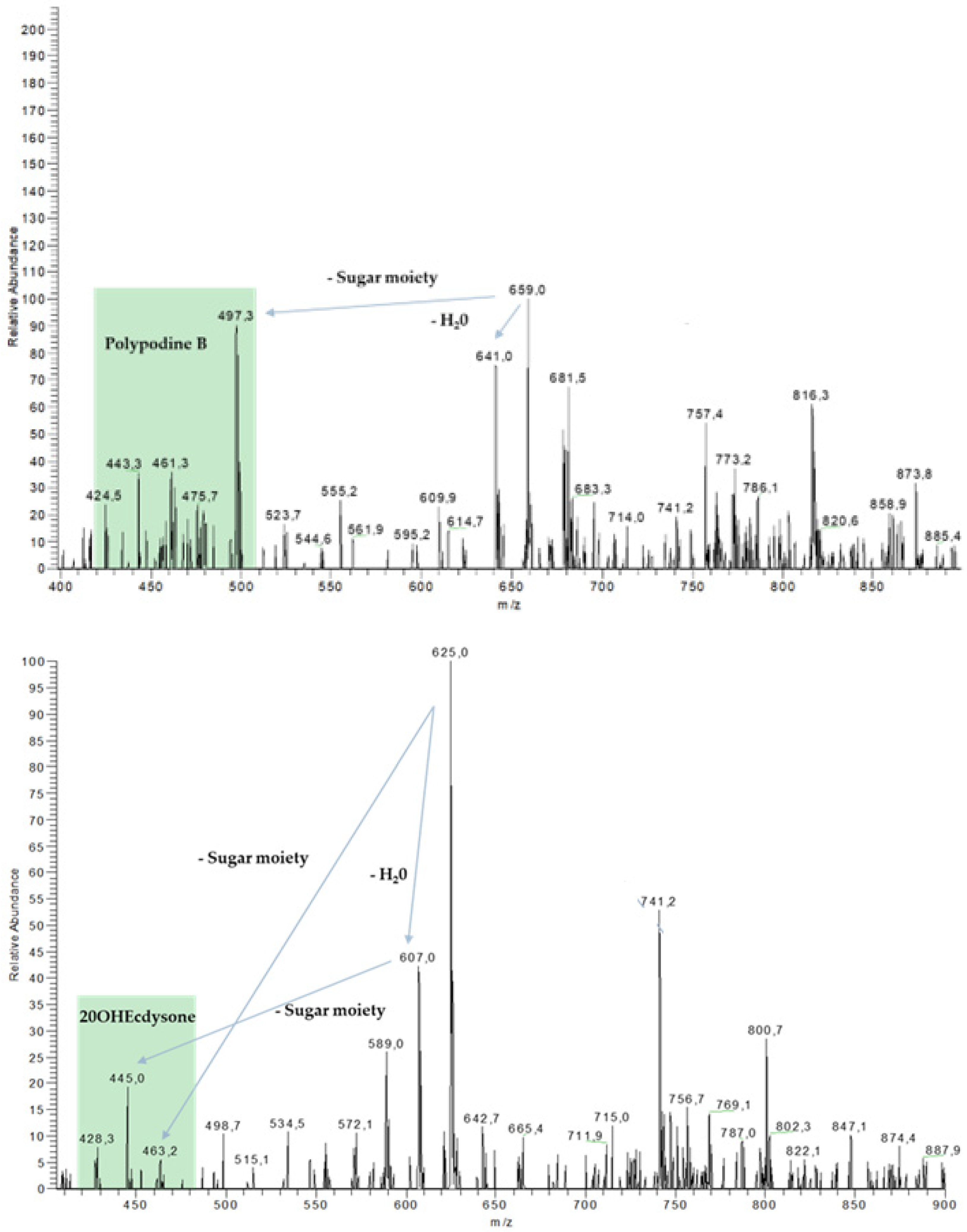 Plants 13 02230 g008