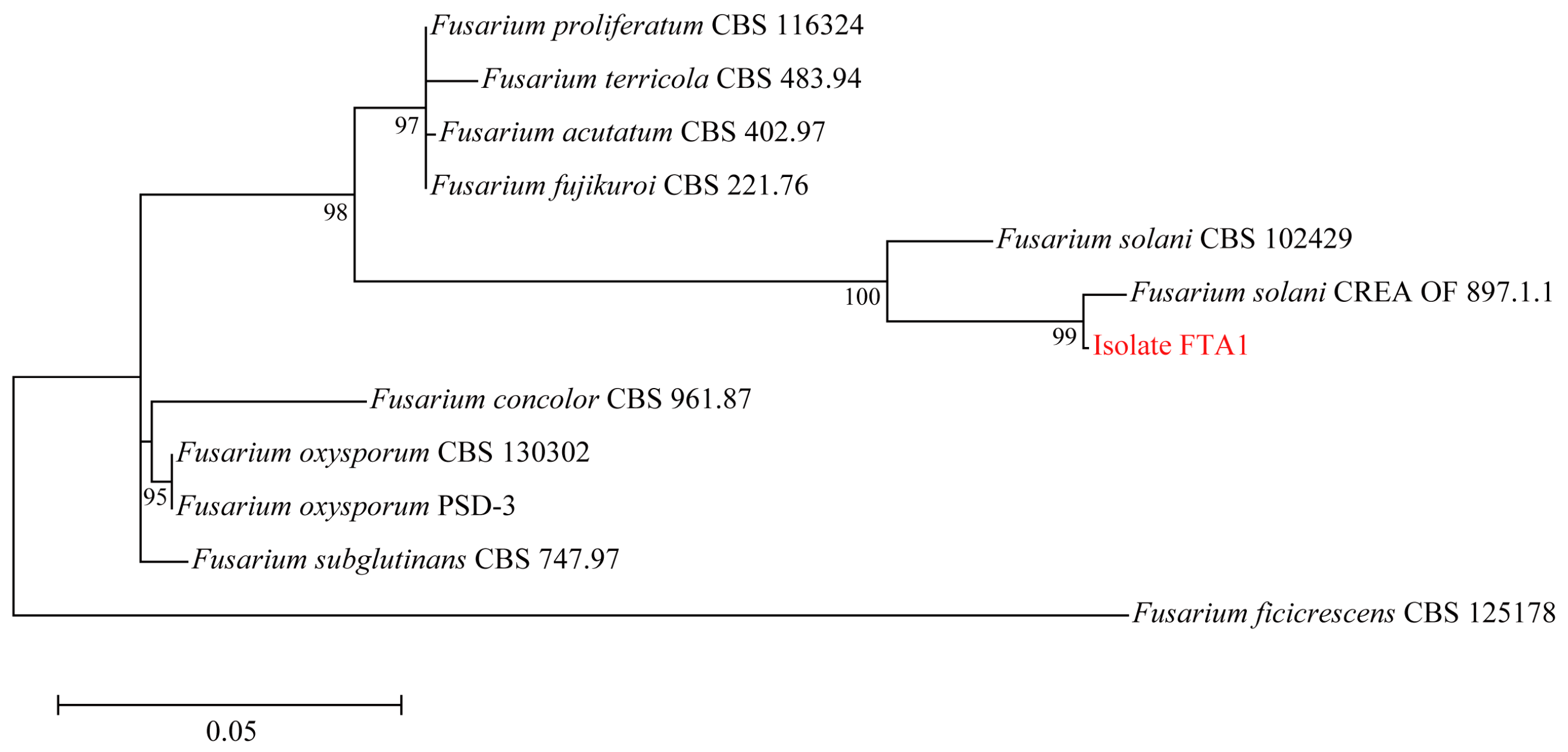 Plants 13 02236 g002