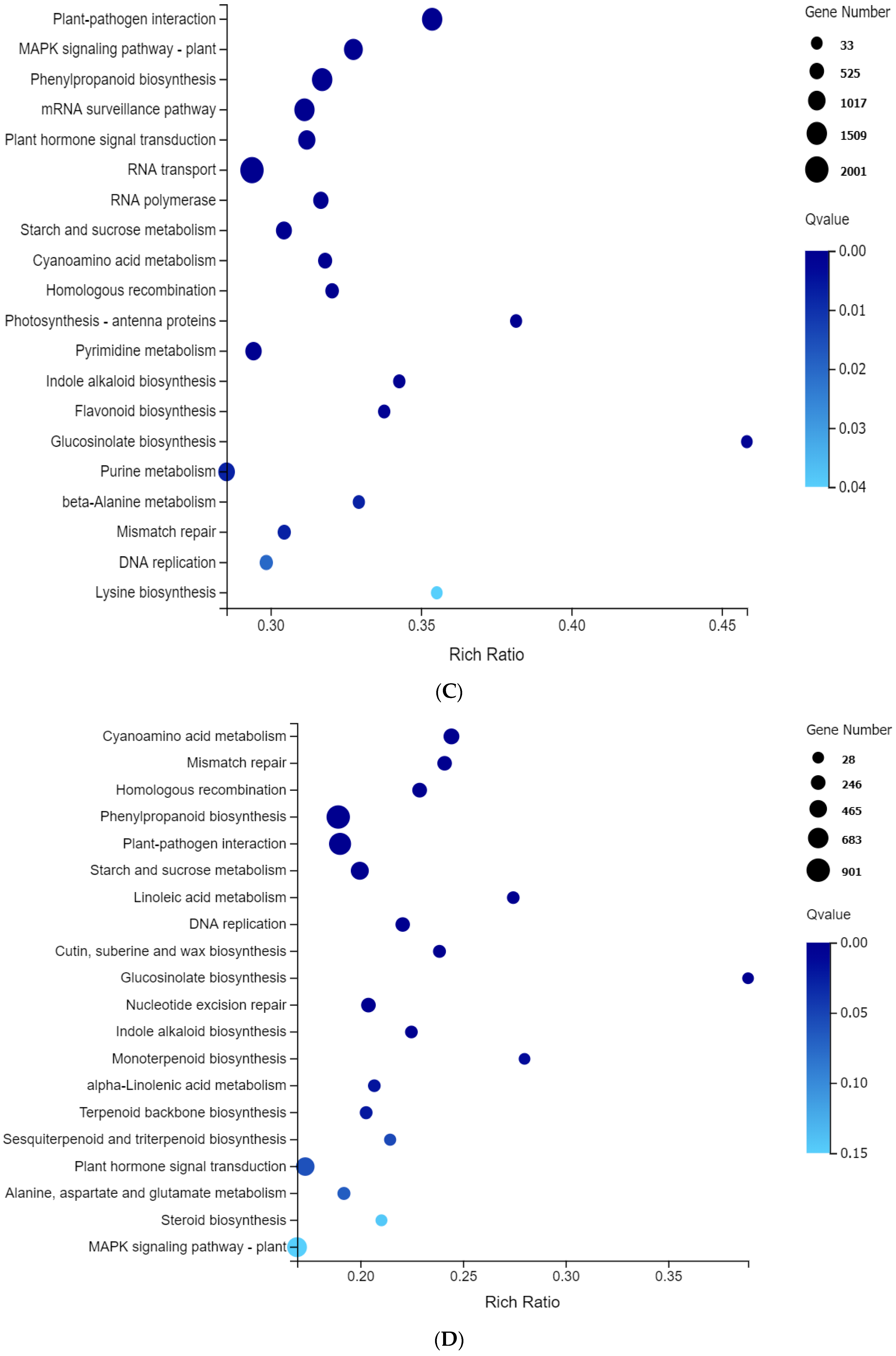 Plants 13 02238 g004b