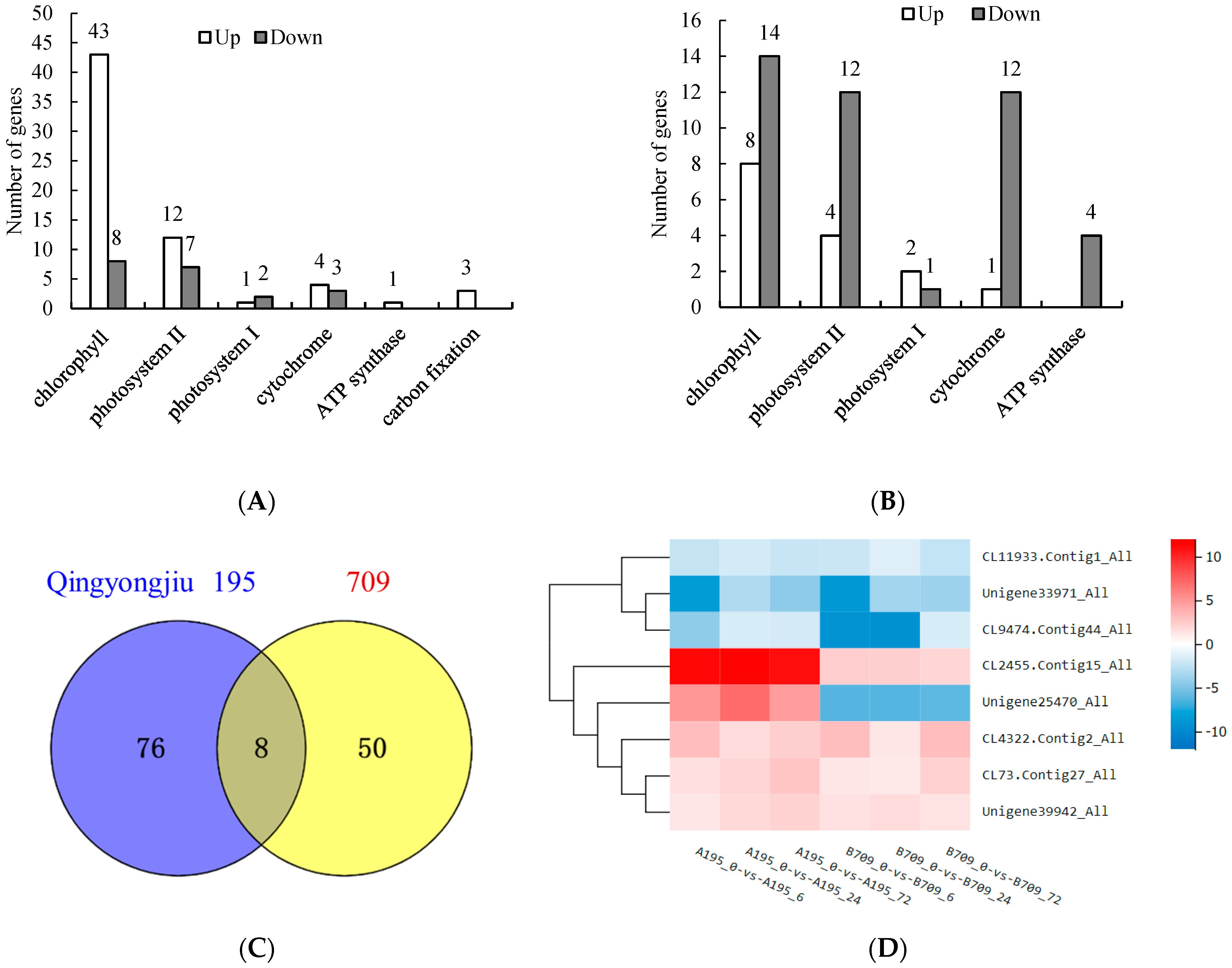 Plants 13 02238 g005
