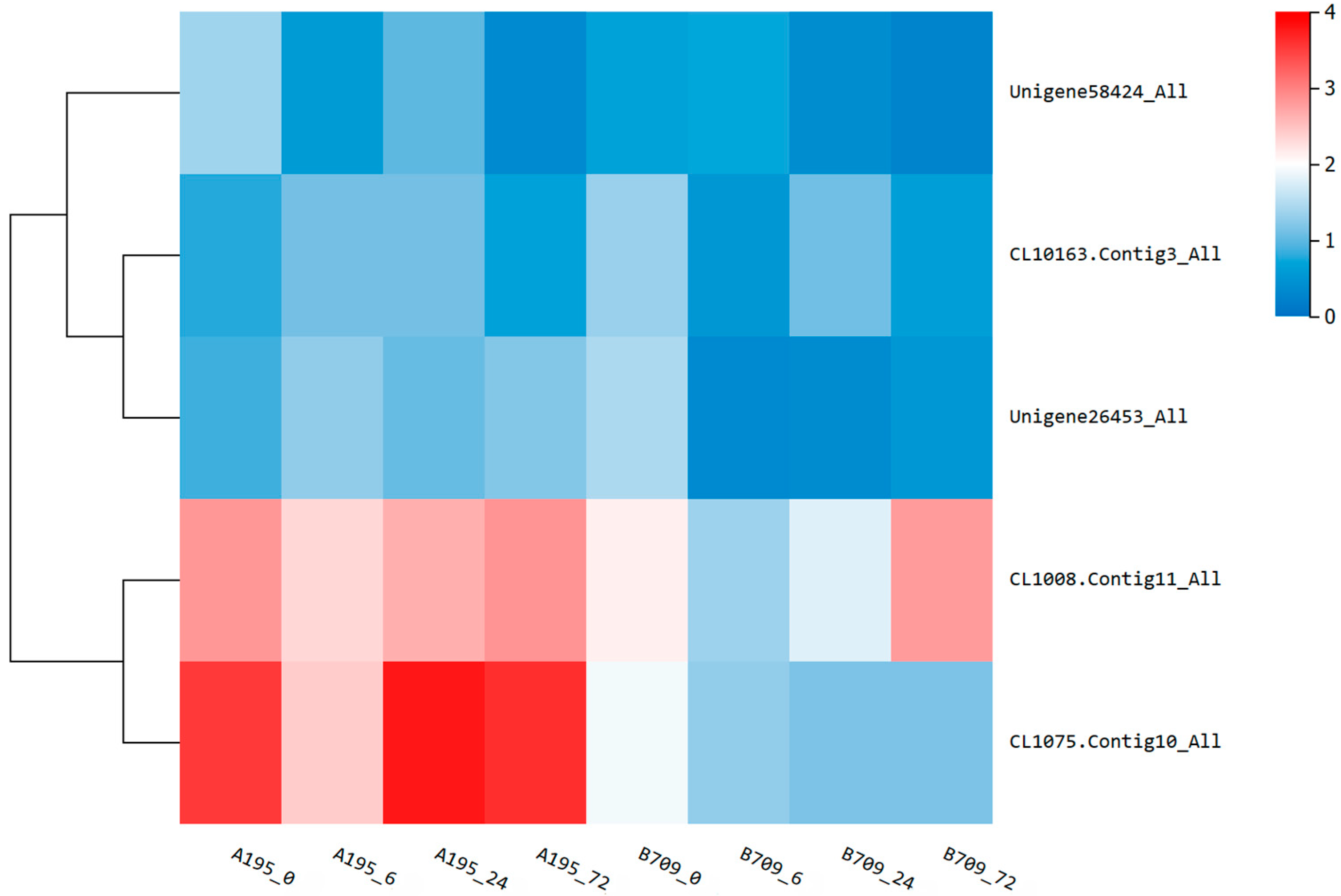 Plants 13 02238 g008