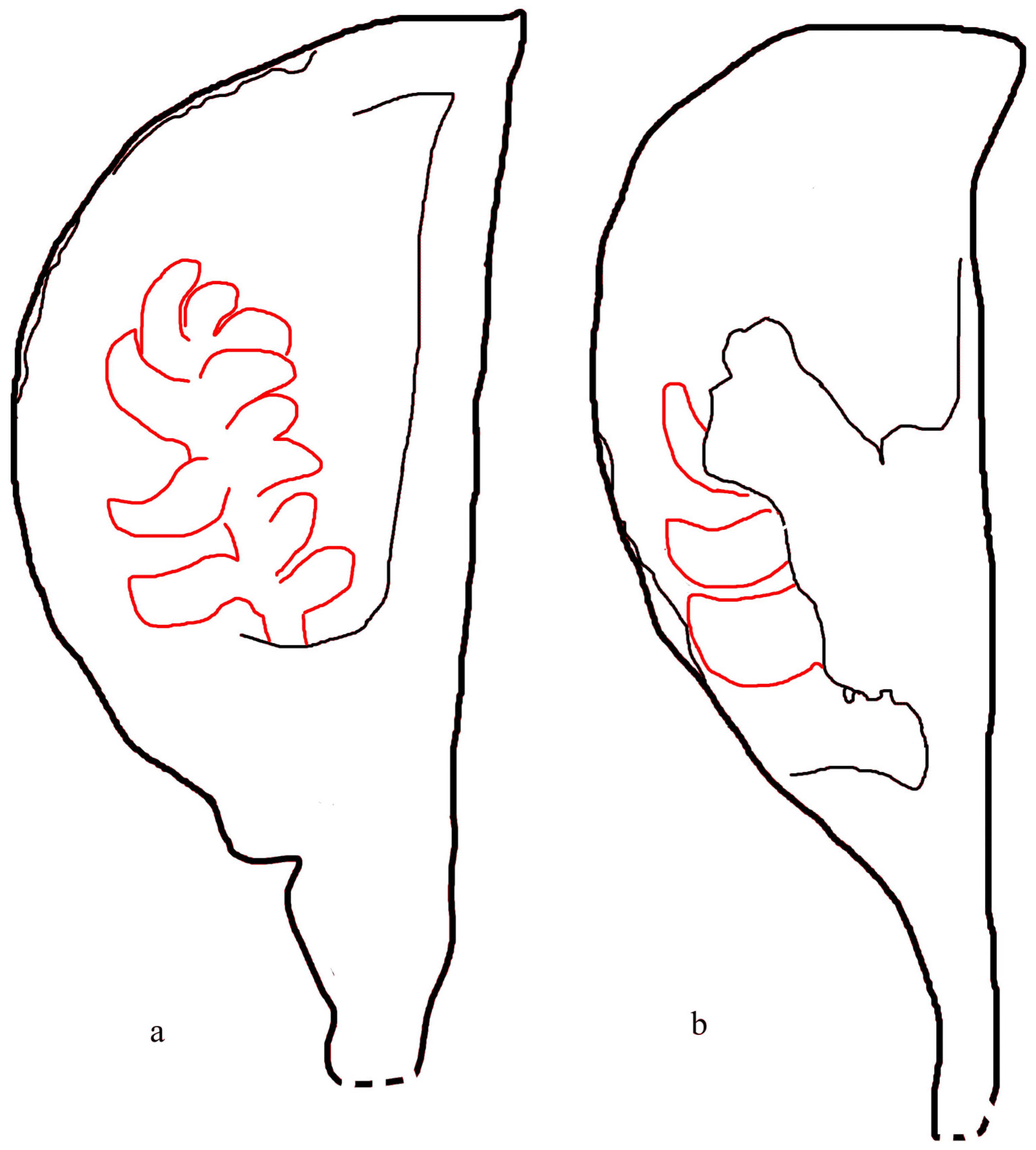 Plants 13 02239 g002 Plants 13 02239 g002