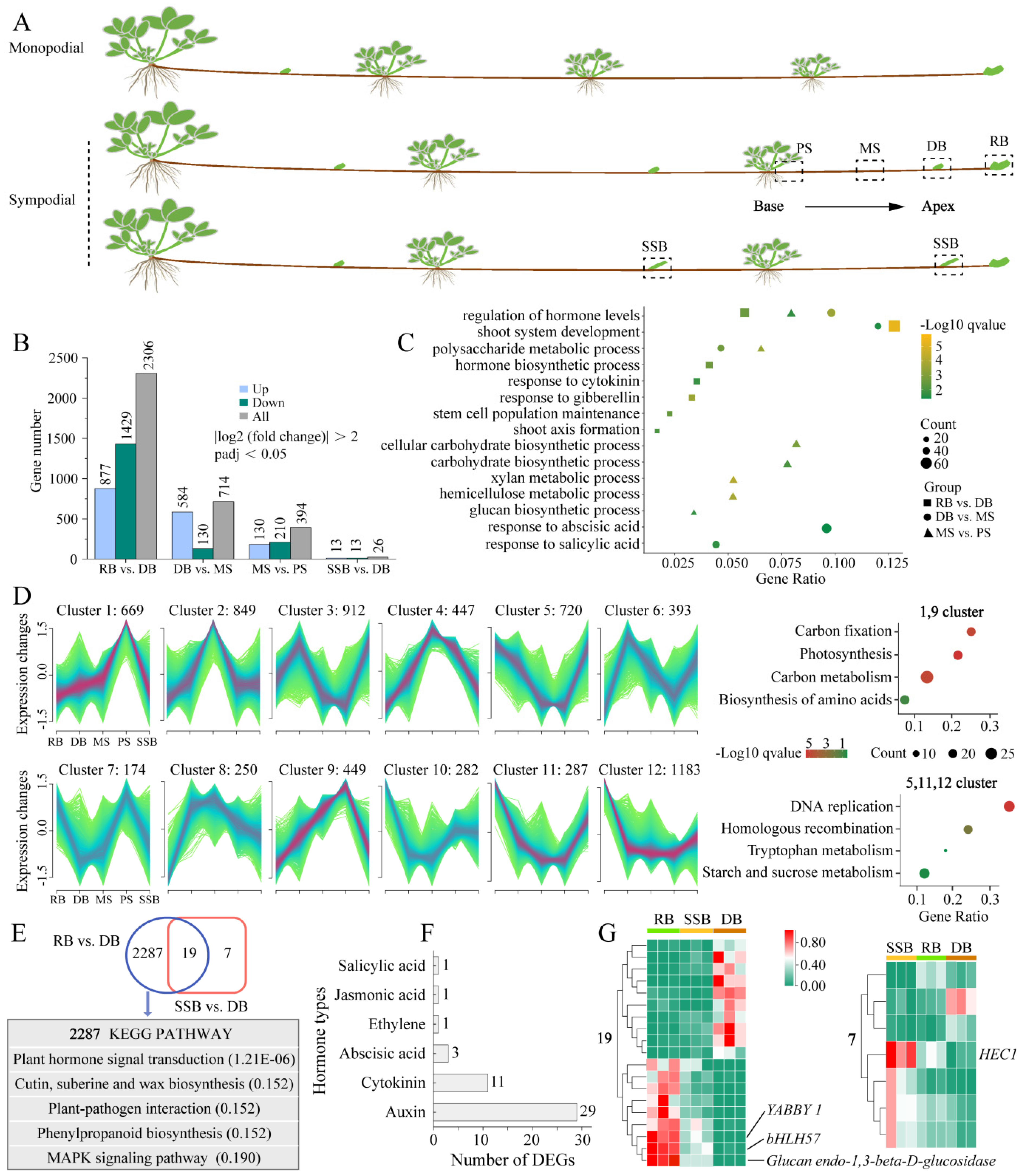 Plants 13 02241 g001 Plants 13 02241 g001