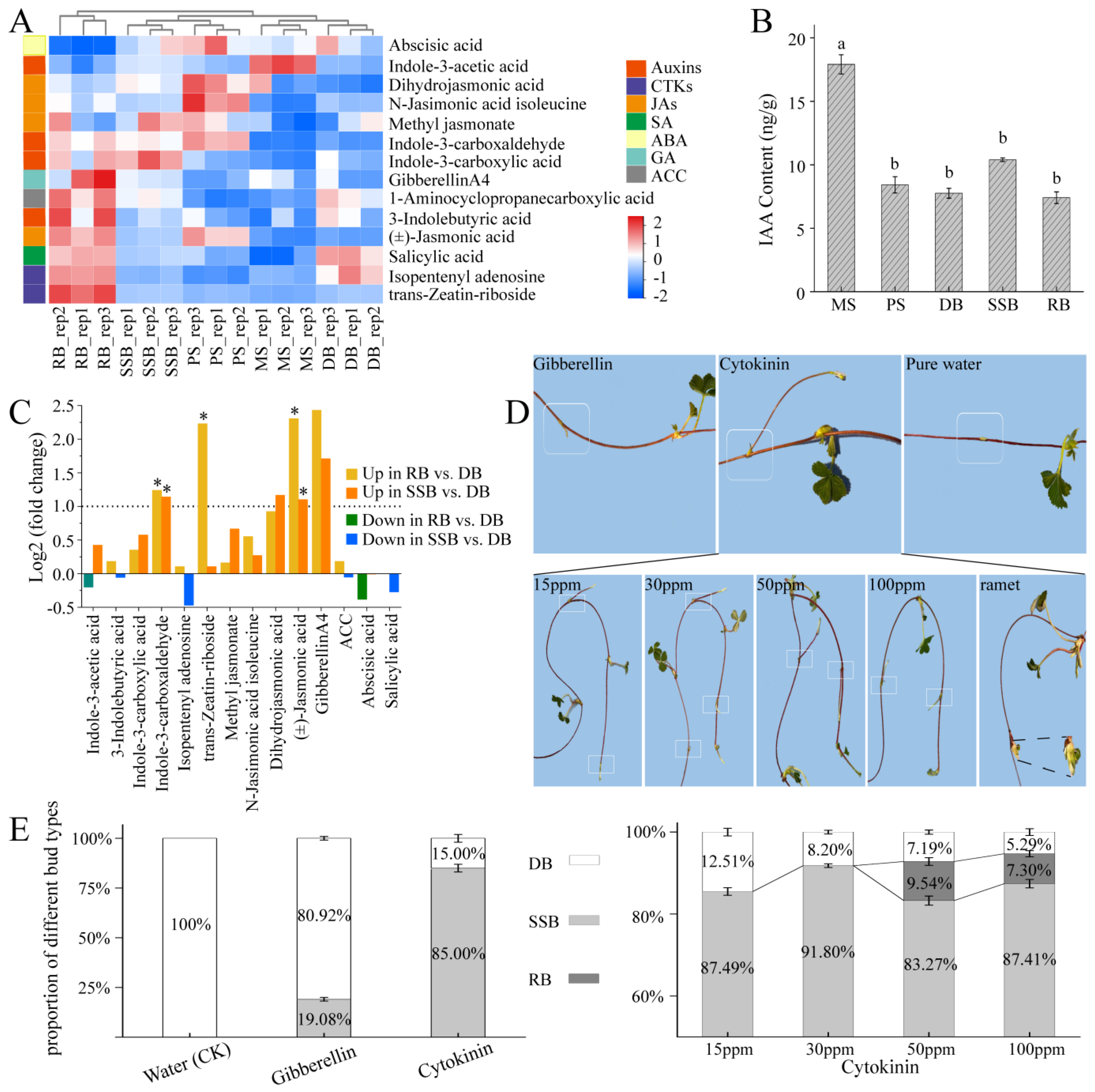 Plants 13 02241 g002 Plants 13 02241 g002