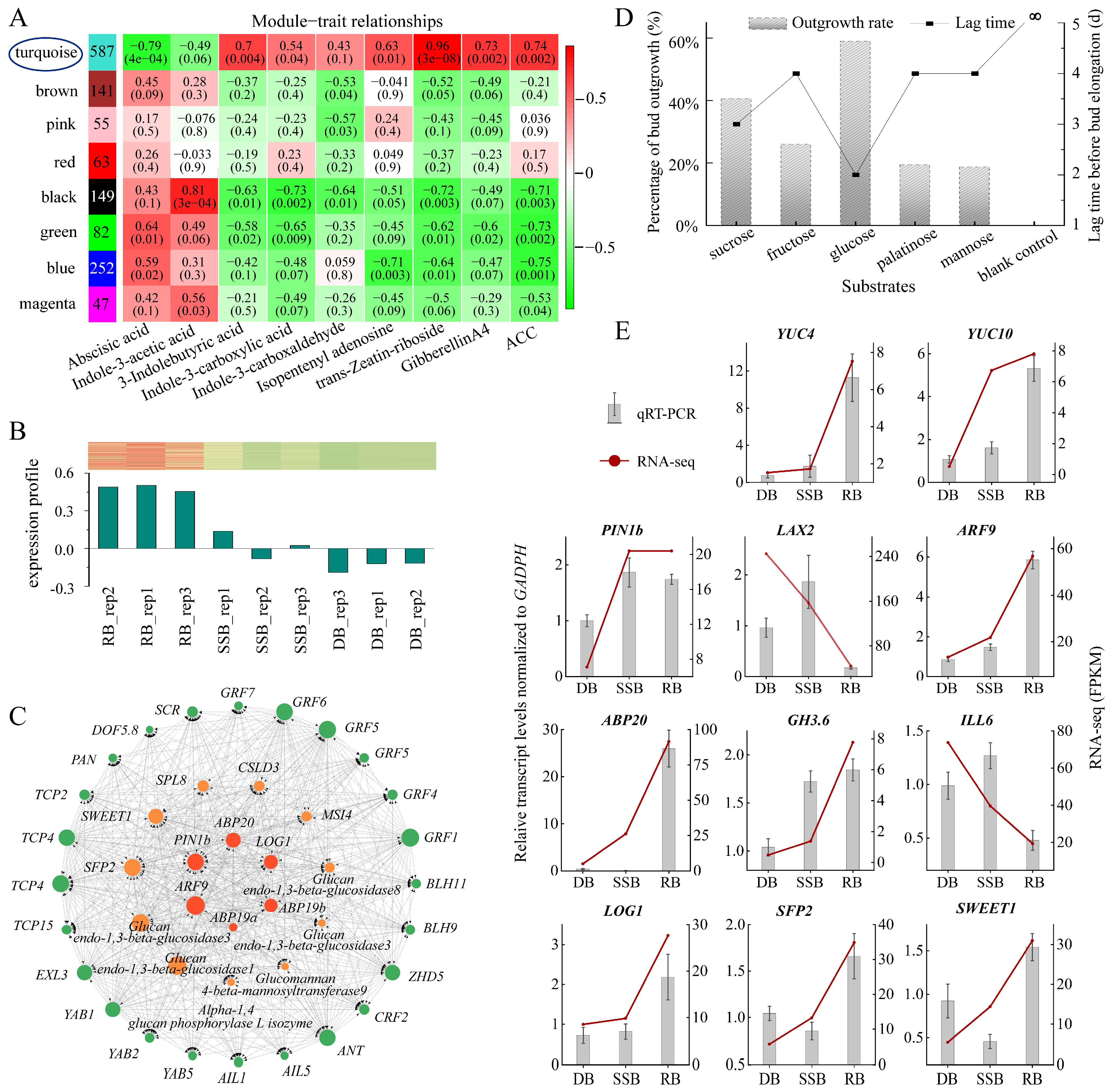 Plants 13 02241 g003 Plants 13 02241 g003