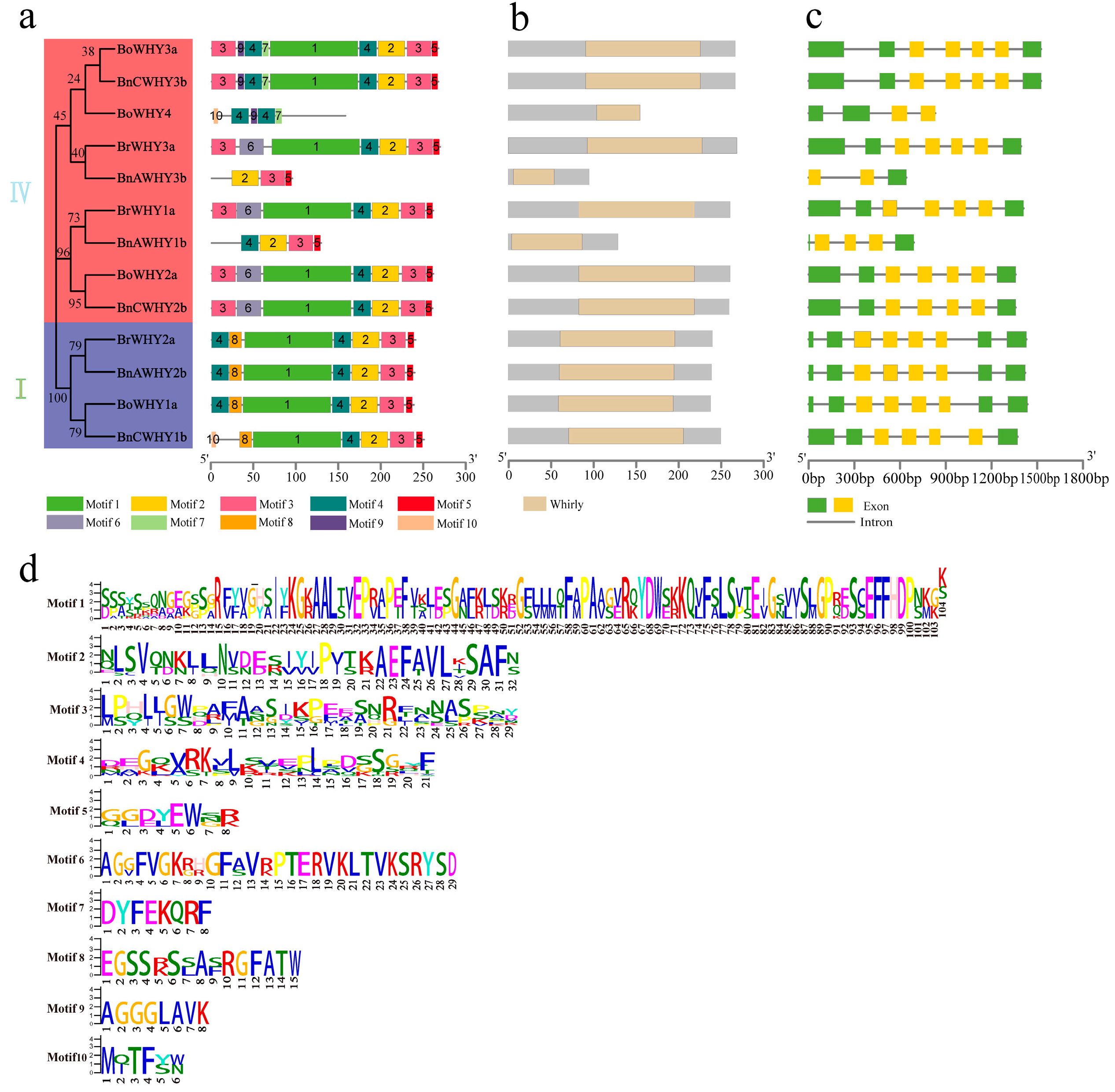 Plants 13 02243 g004