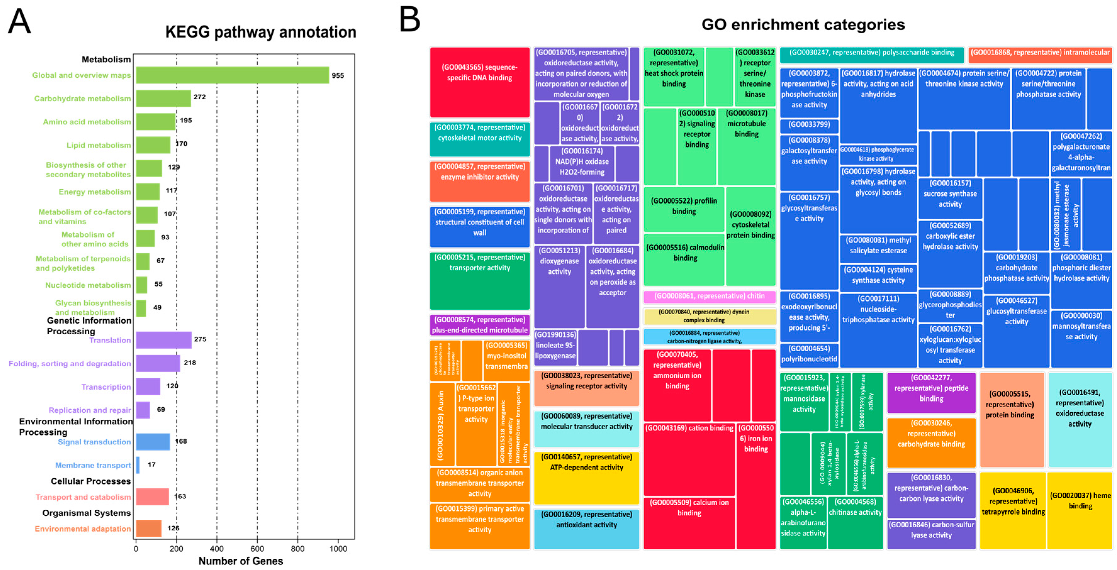 Plants 13 02247 g002