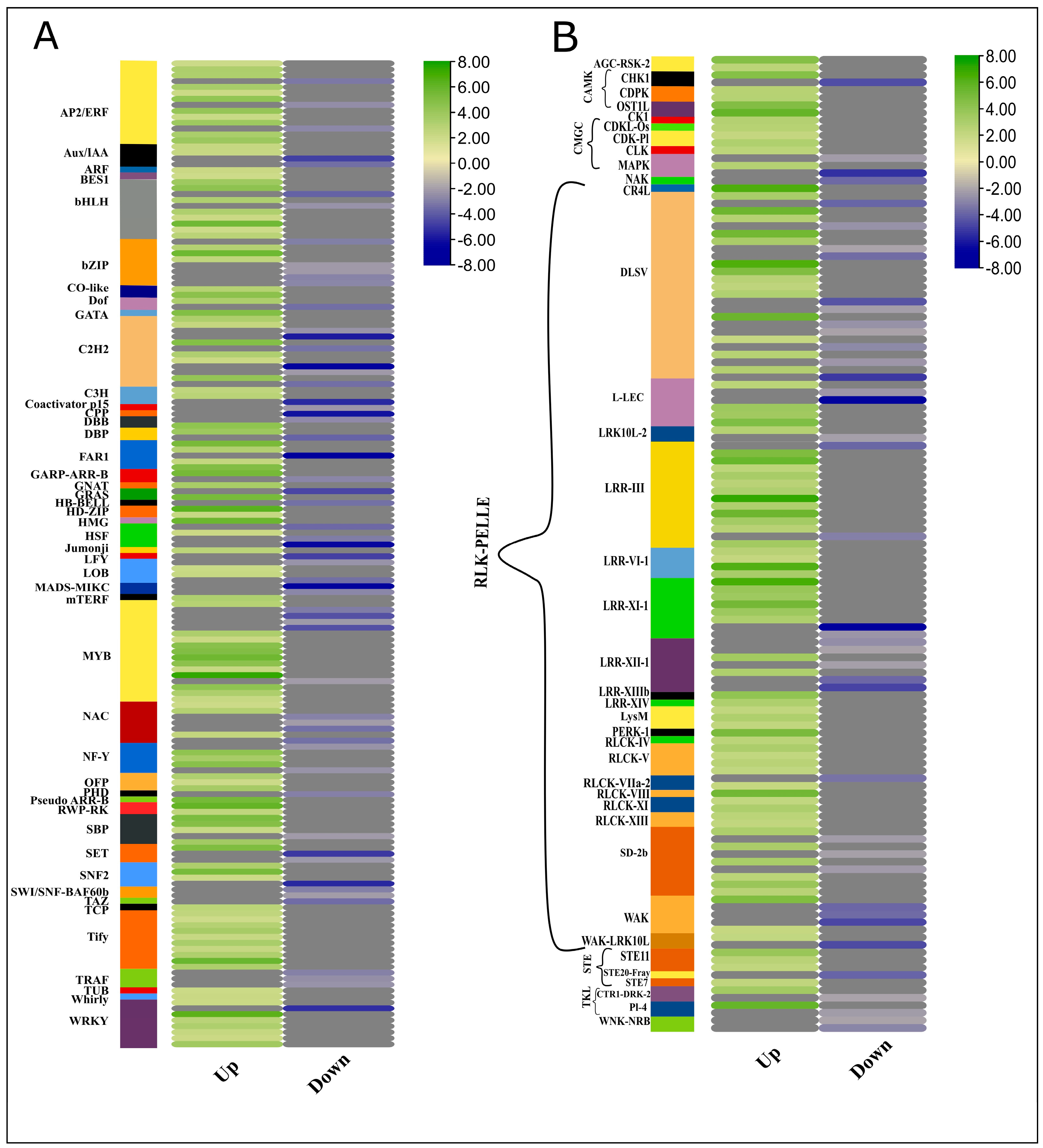 Plants 13 02247 g005