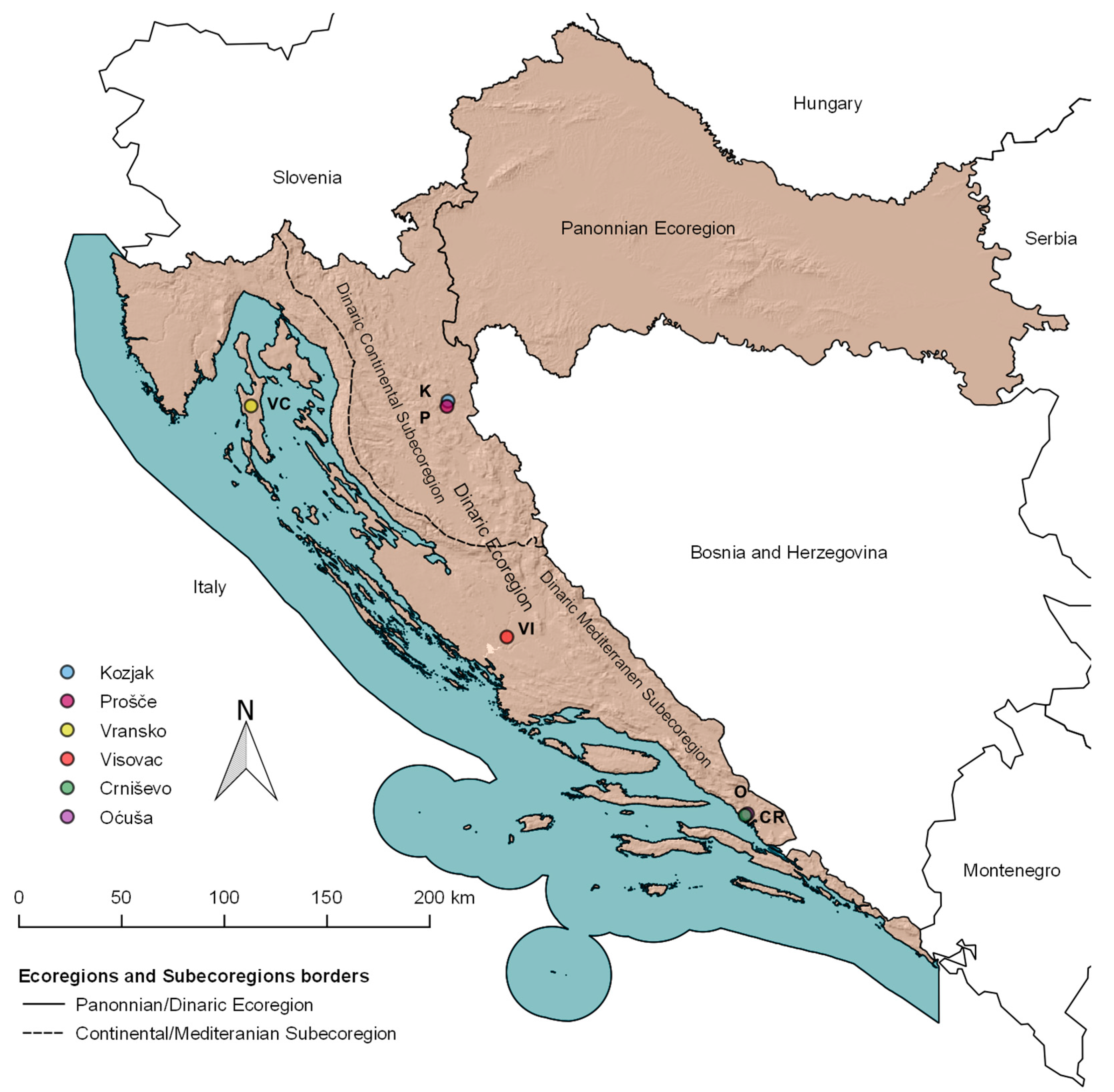 Plants 13 02252 g006