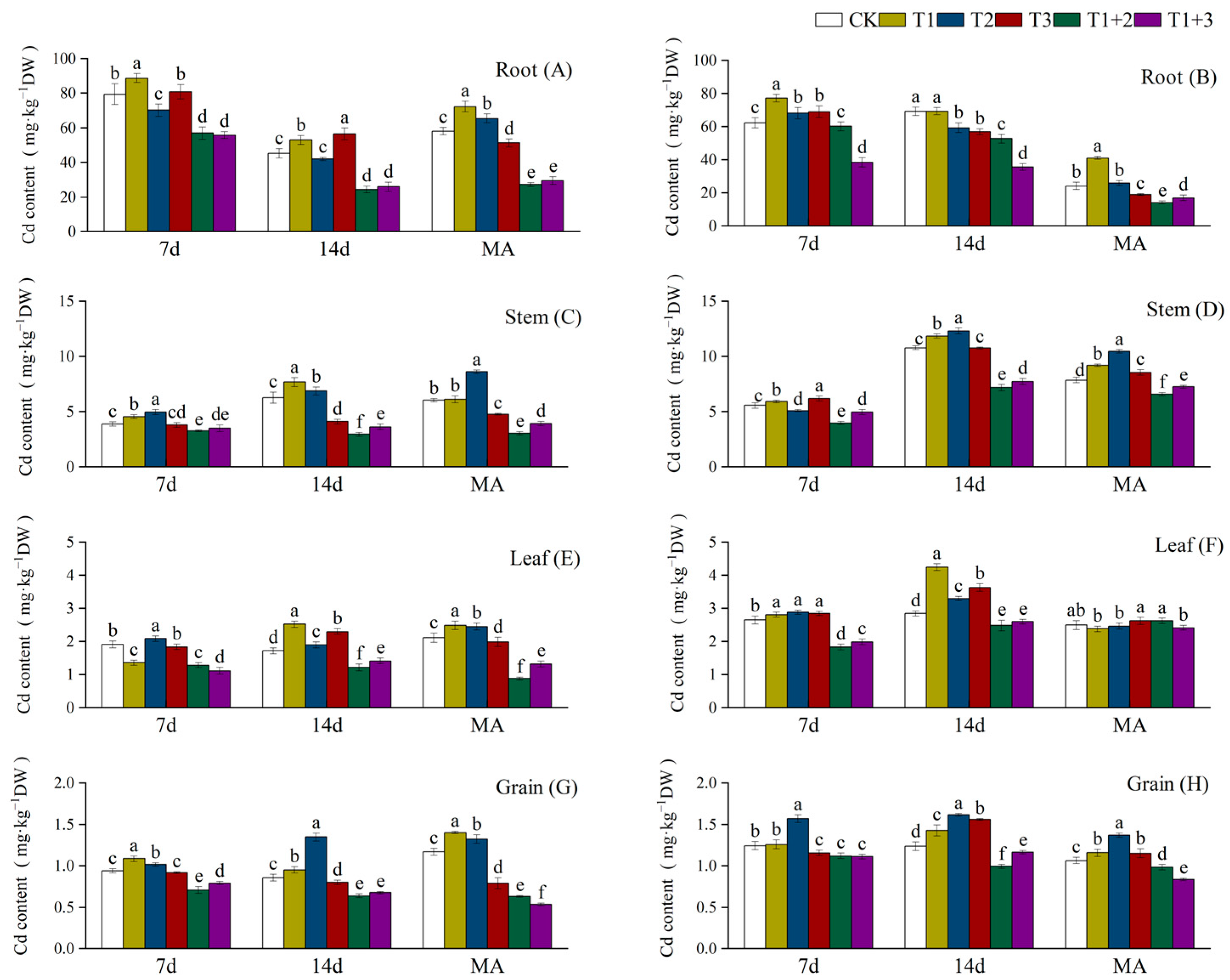 Plants 13 02253 g001