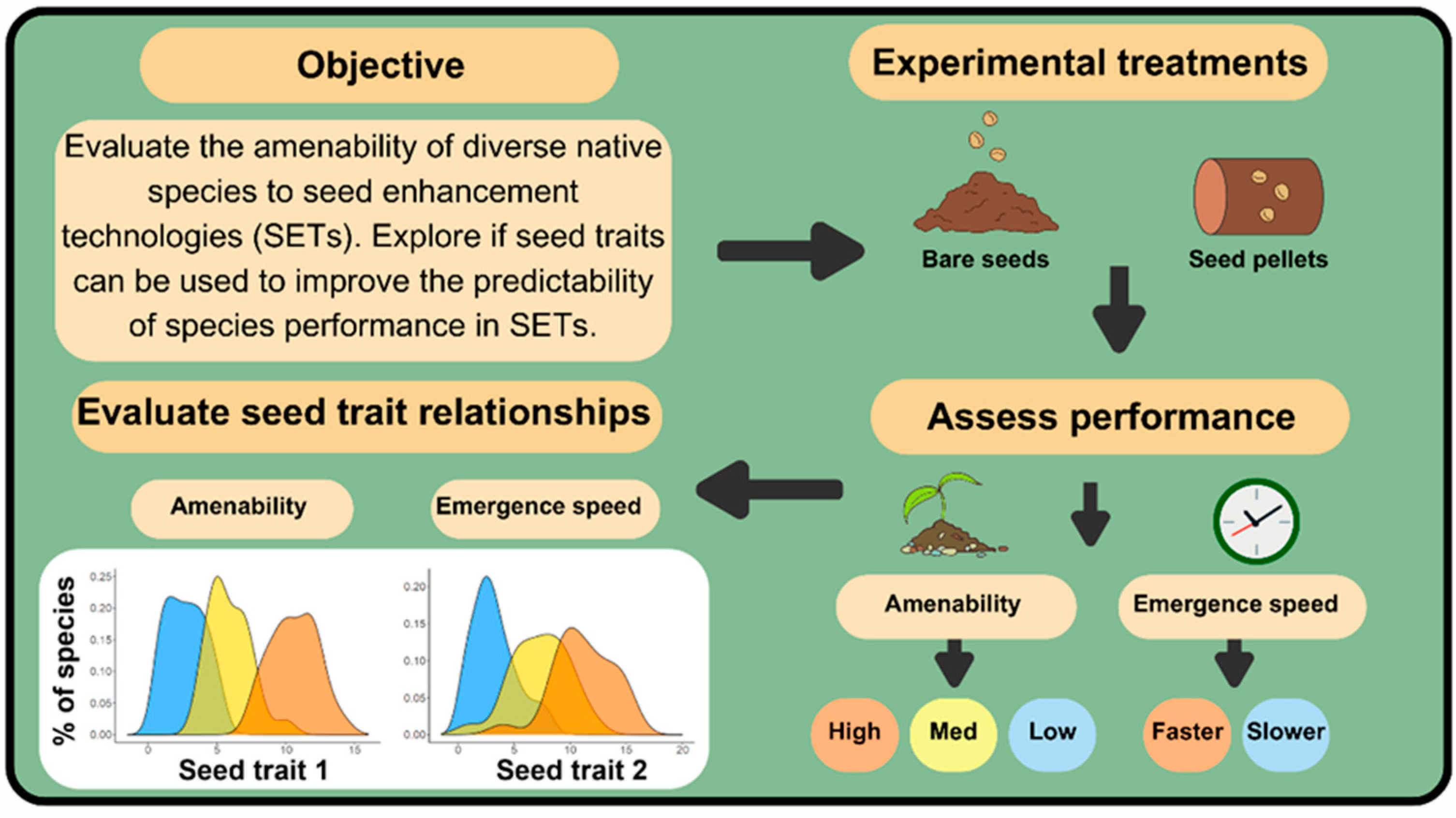 Plants 13 02256 g001