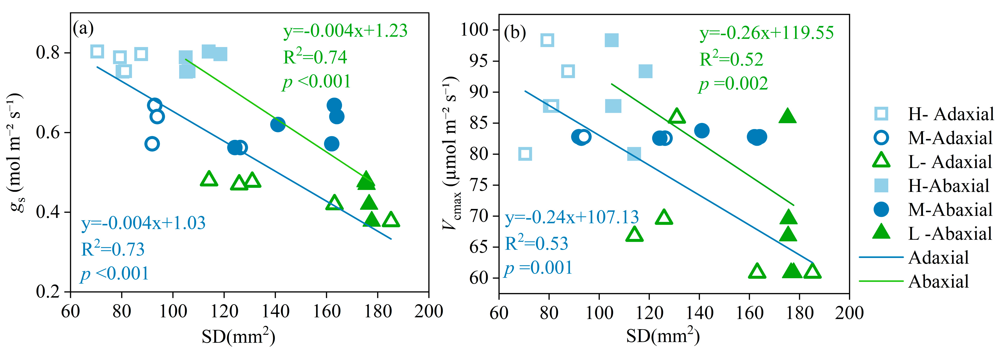Plants 13 02263 g006
