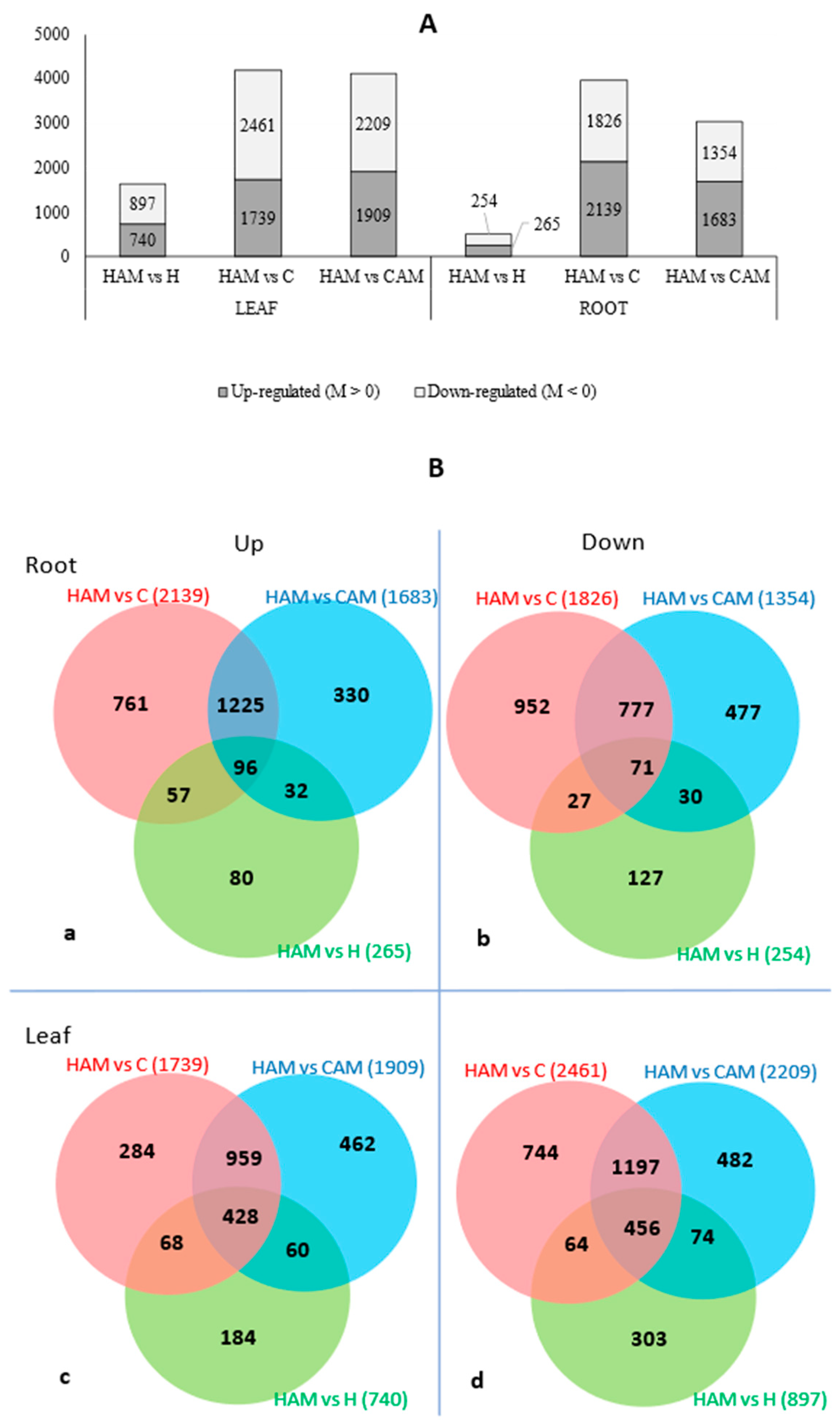 Plants 13 02266 g002