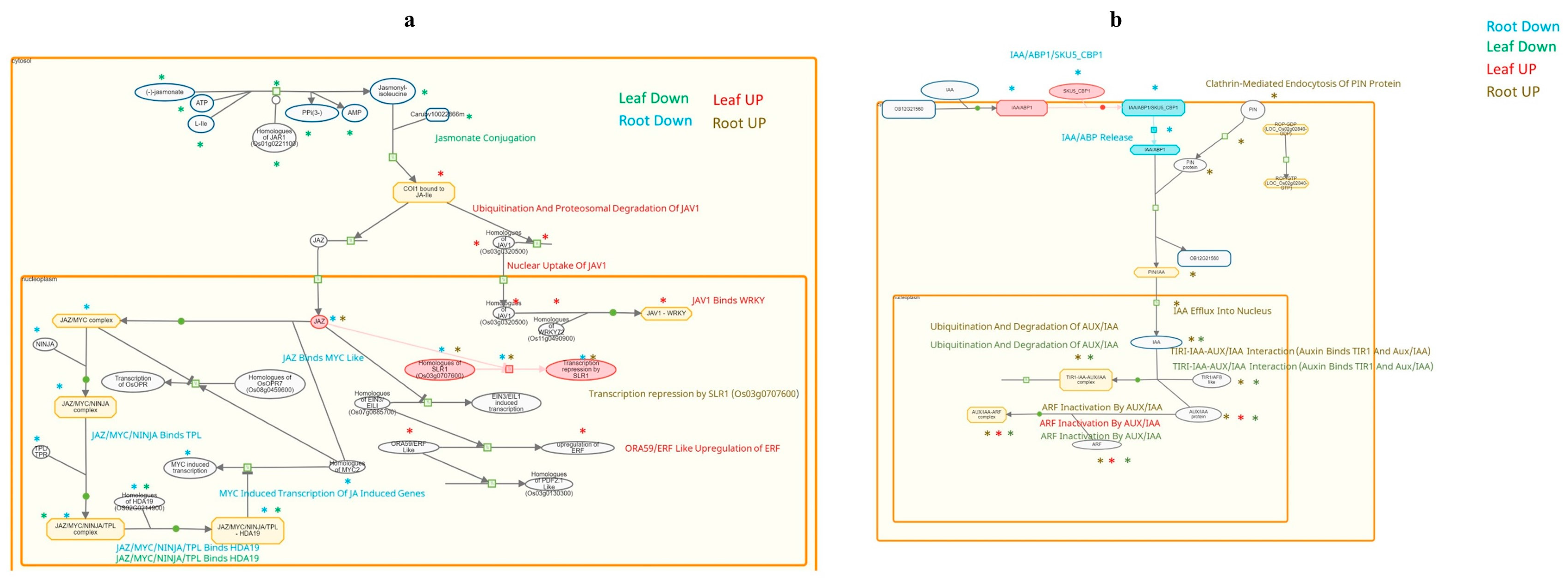 Plants 13 02266 g006