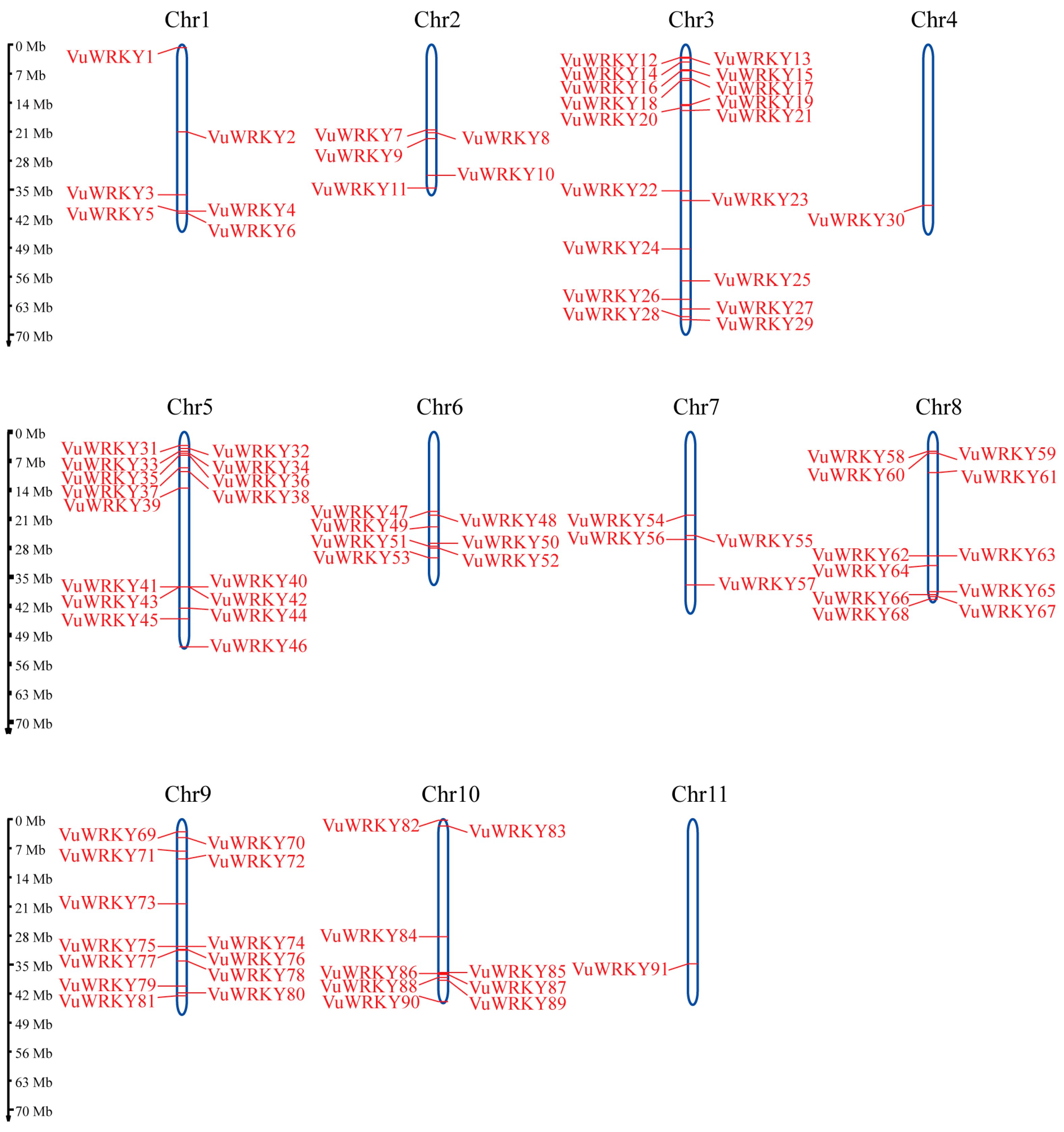 Plants 13 02273 g001