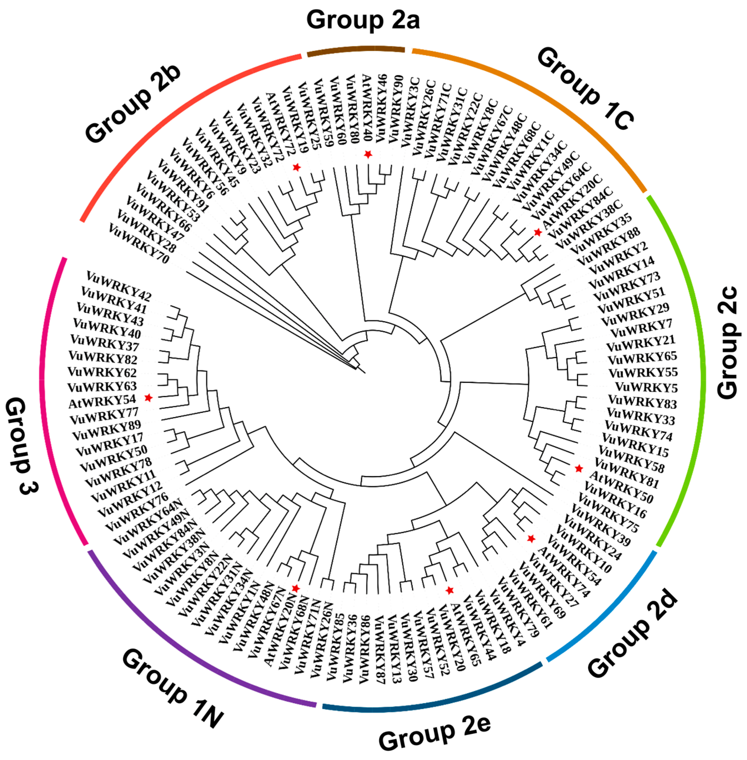 Plants 13 02273 g002