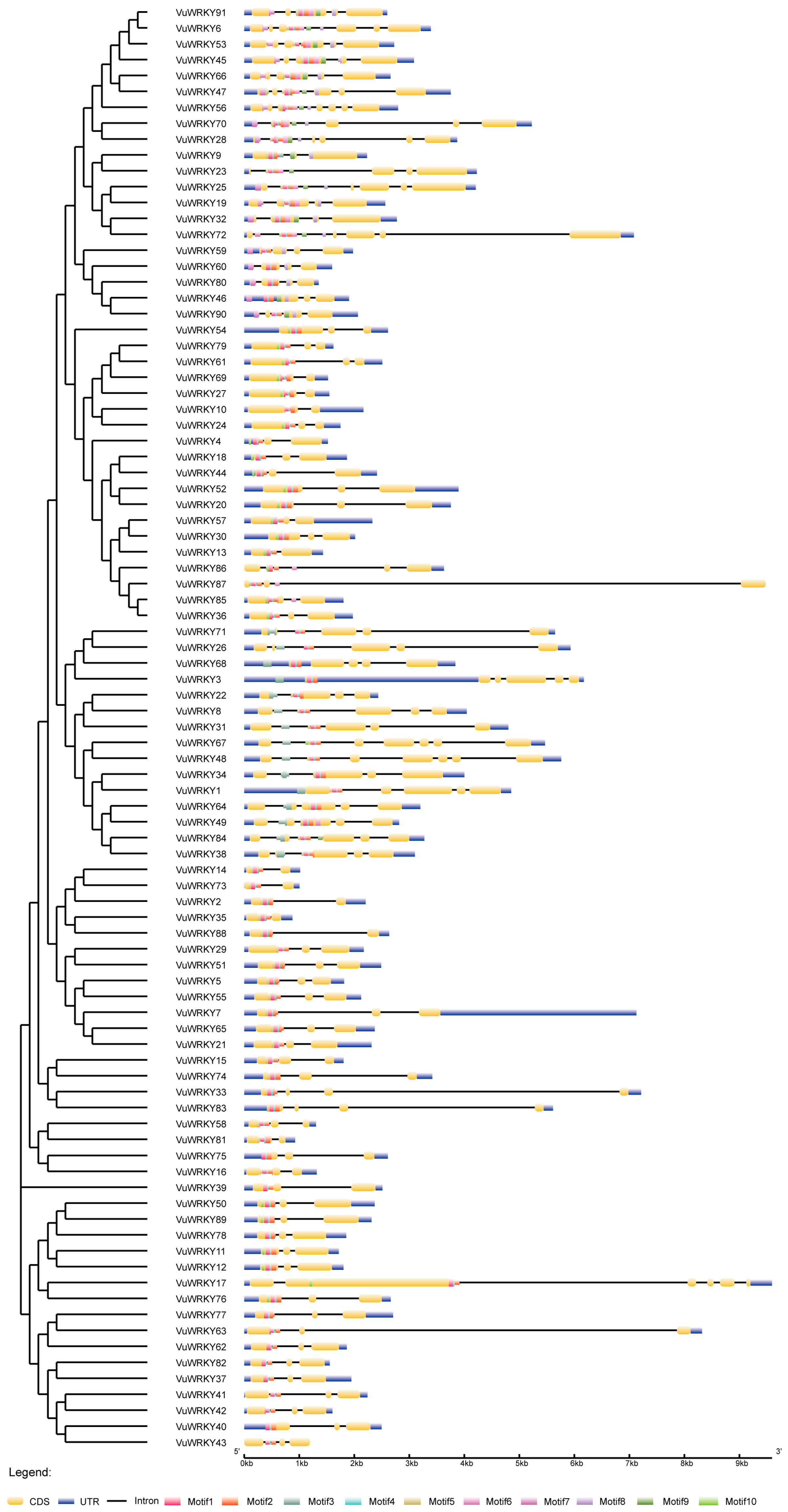 Plants 13 02273 g003