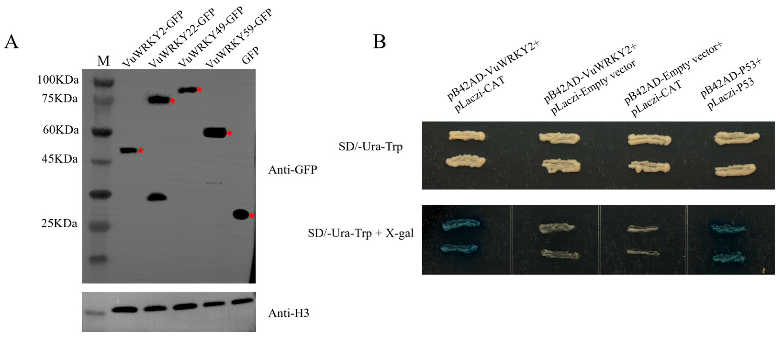 Plants 13 02273 g008