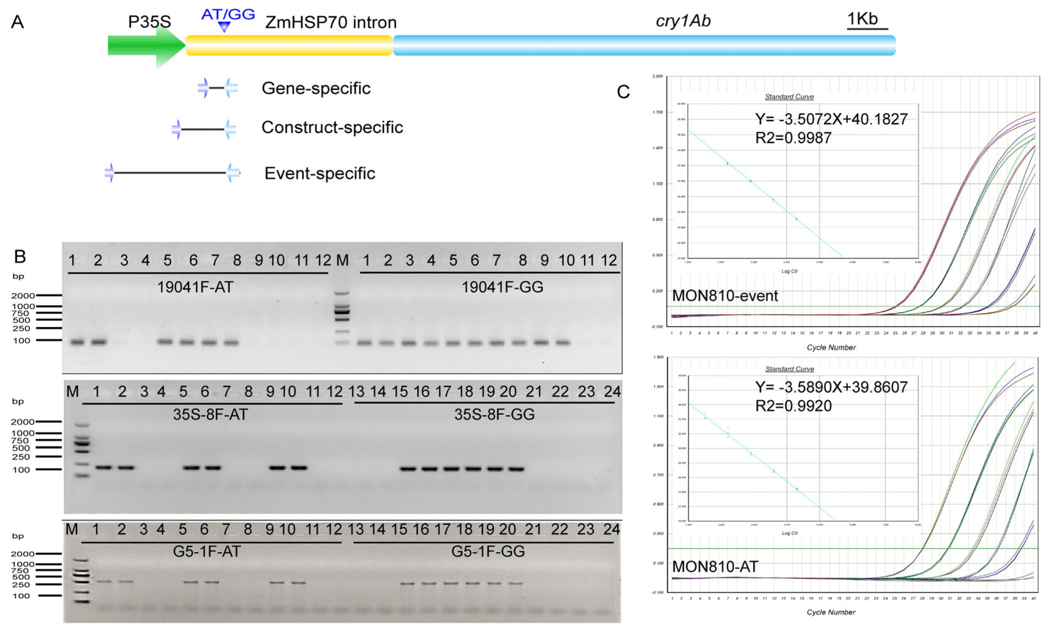 Plants 13 02276 g003