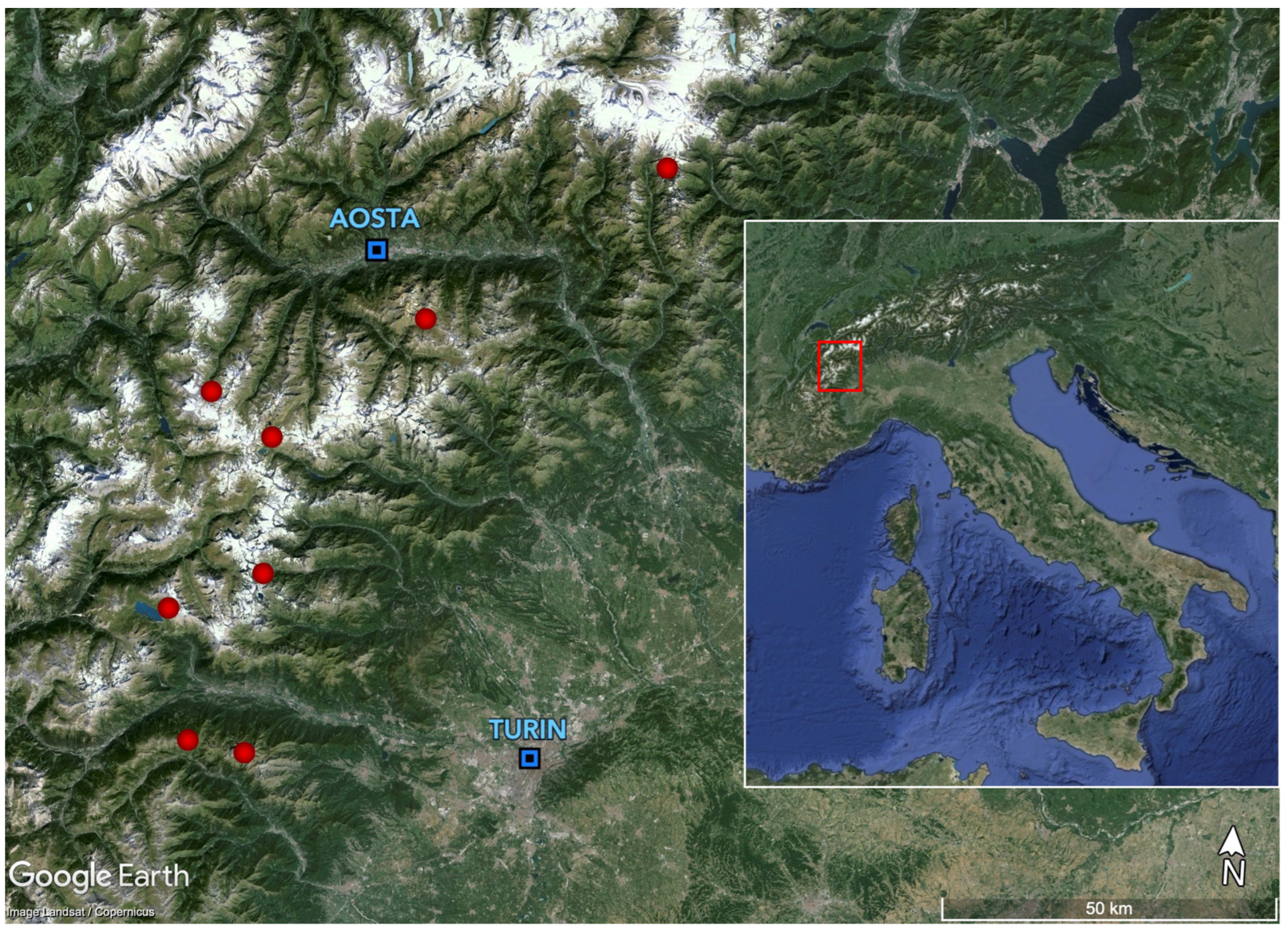 Plants 13 02280 g005