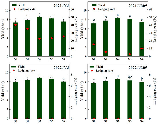 Plants 13 02289 g001
