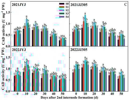 Plants 13 02289 g007b