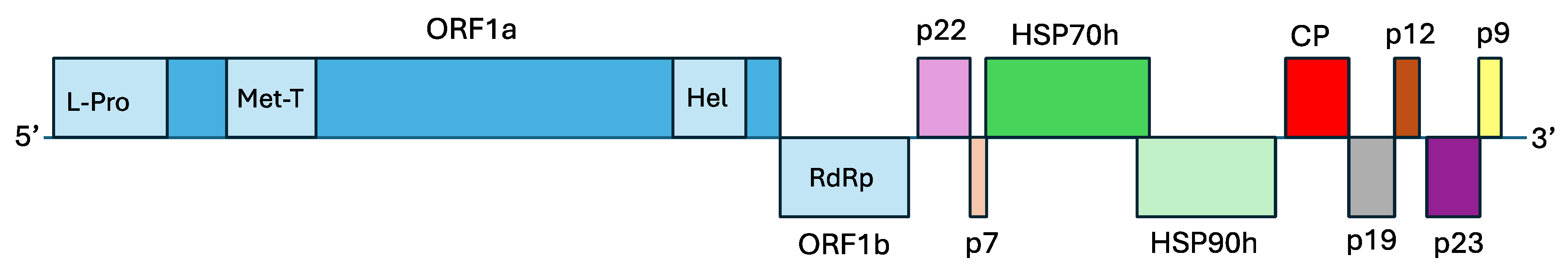 Plants 13 02290 g002