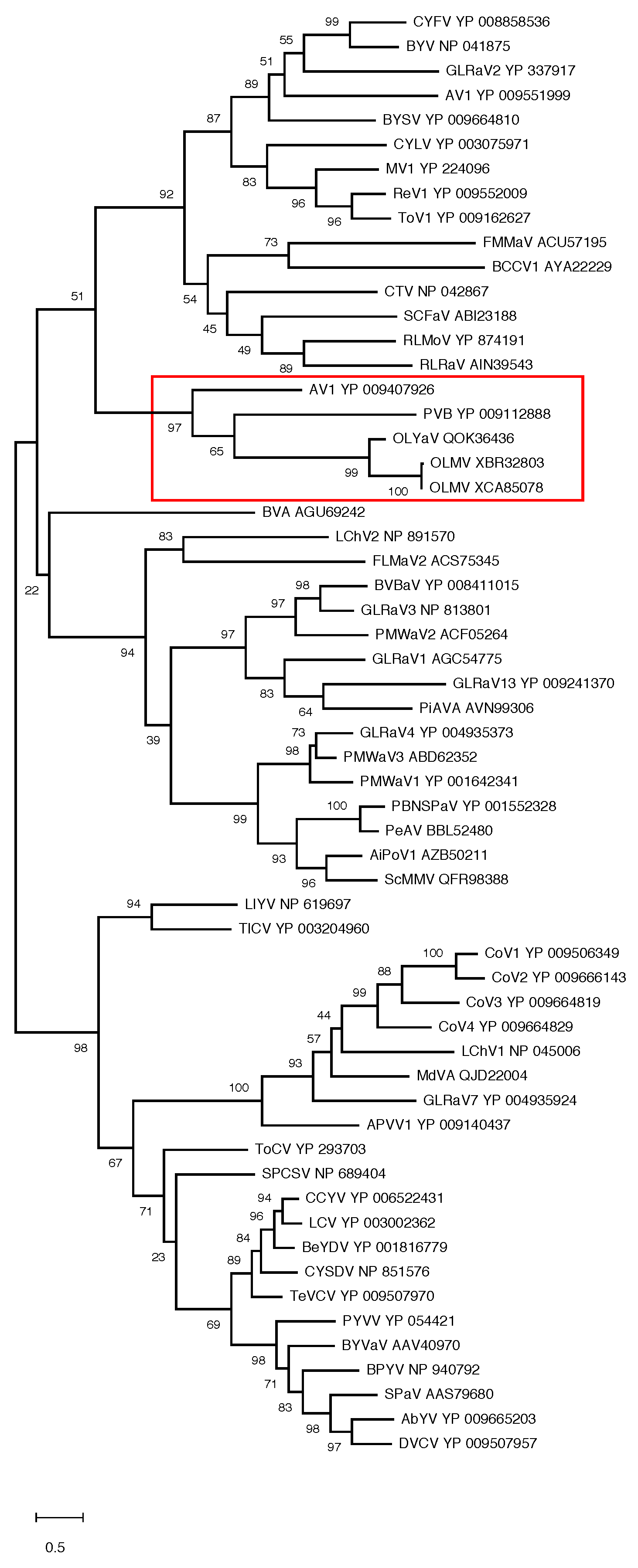 Plants 13 02290 g004