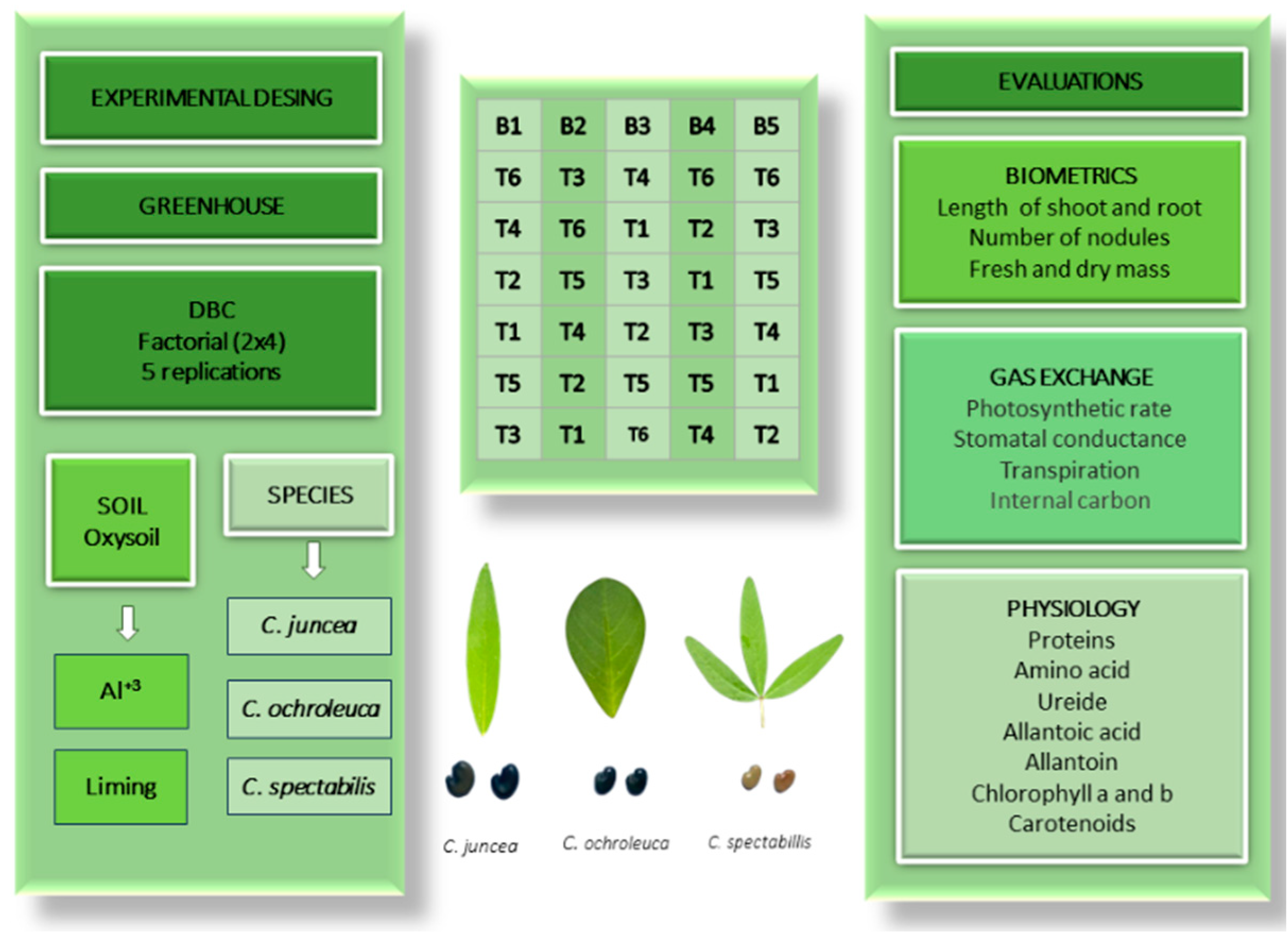 Plants 13 02292 g001