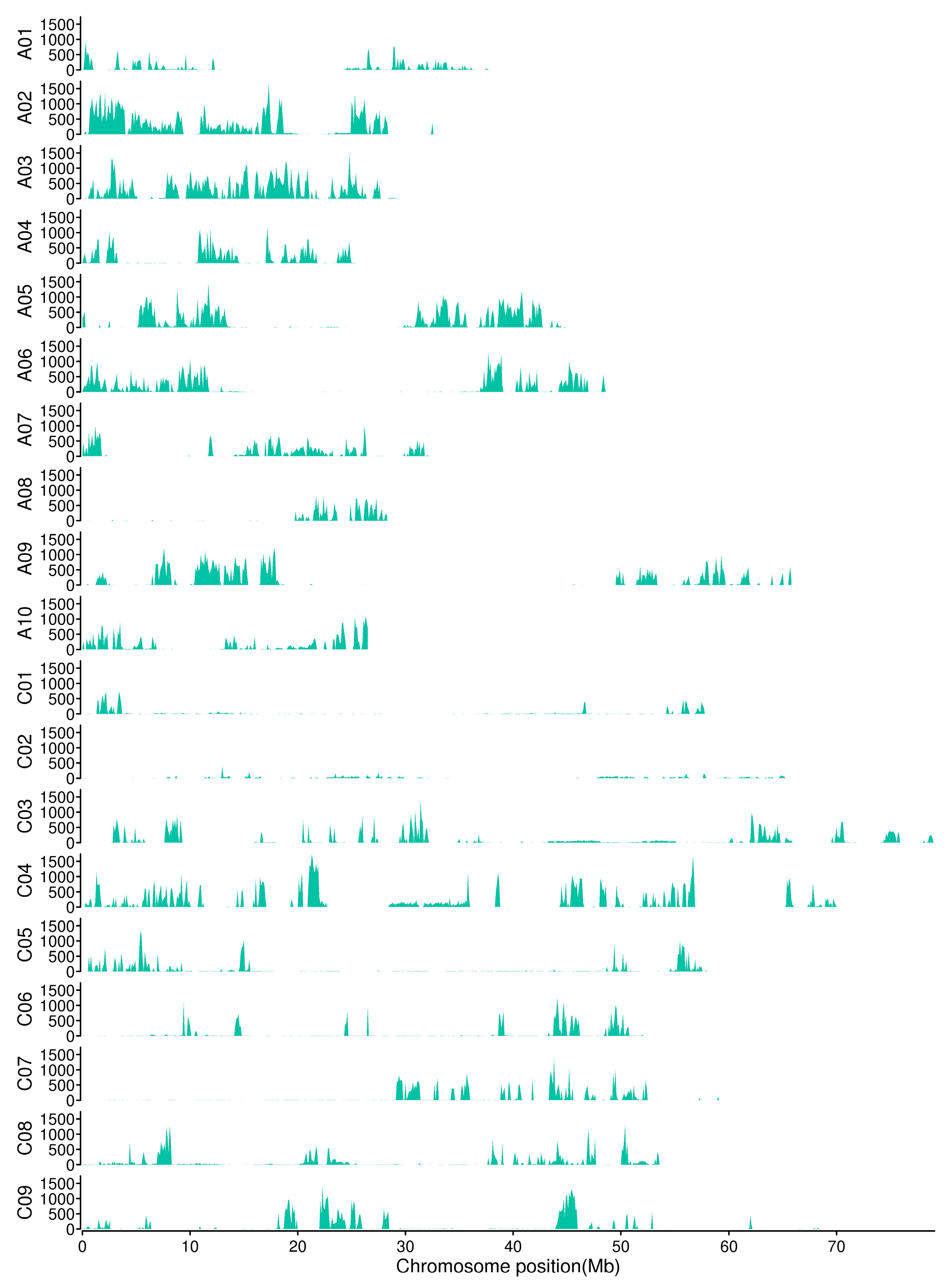 Plants 13 02298 g002