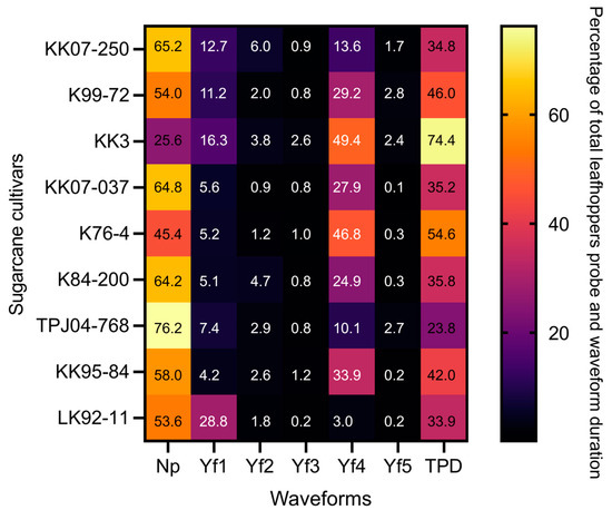 Plants 13 02299 g003