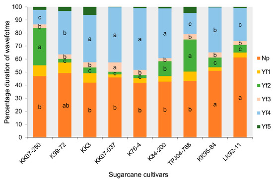 Plants 13 02299 g004