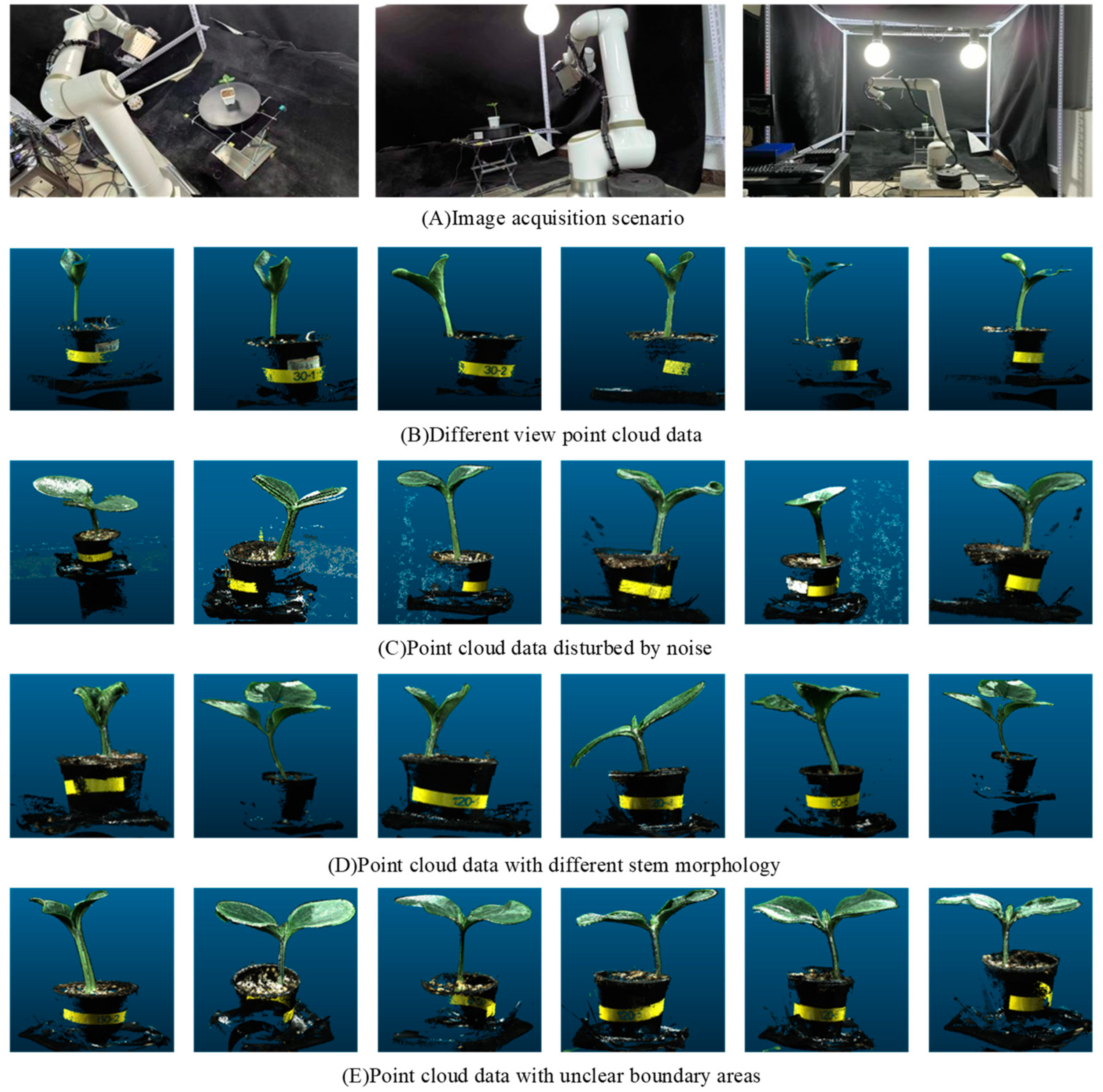 Plants 13 02300 g001 Plants 13 02300 g001