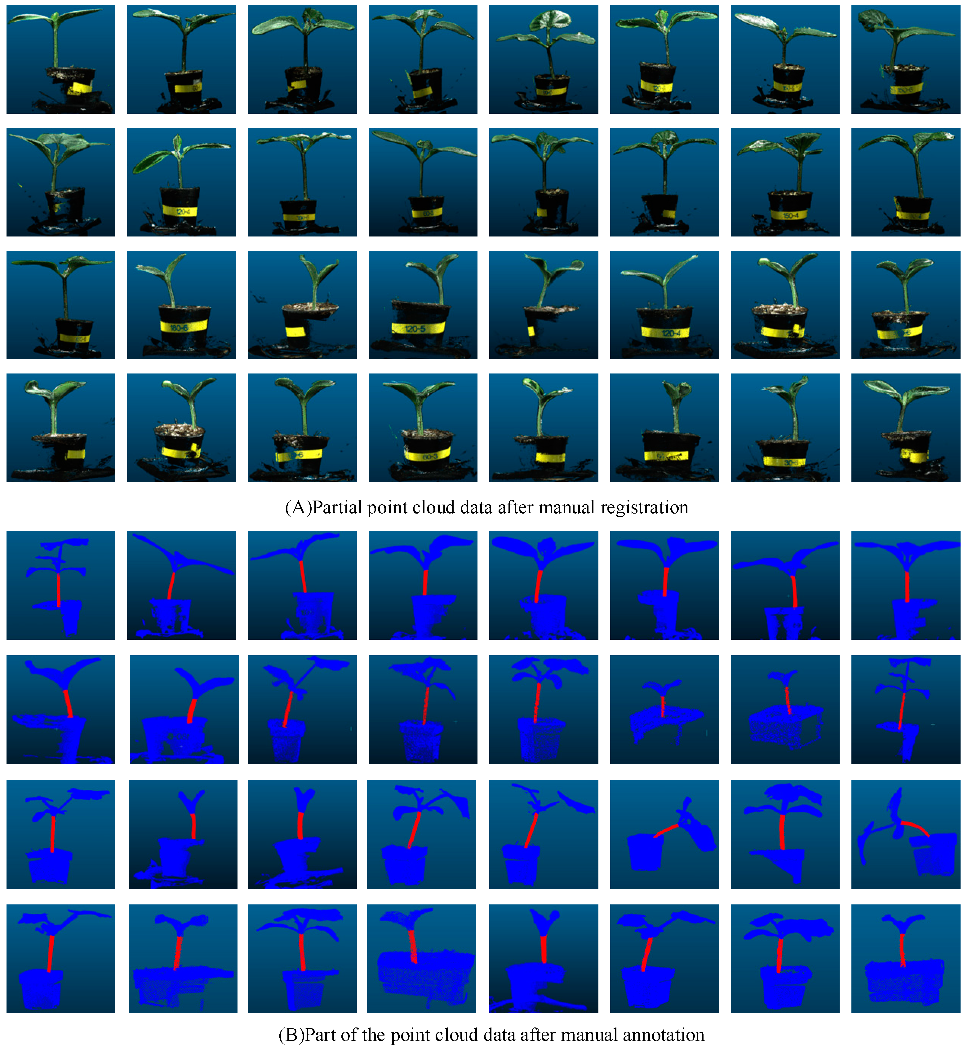 Plants 13 02300 g002 Plants 13 02300 g002