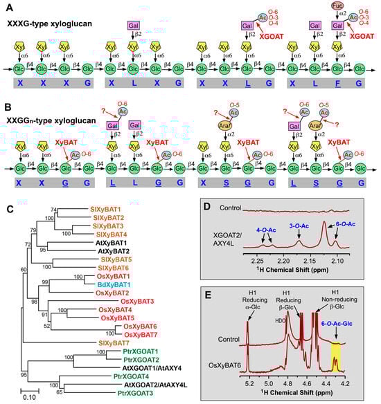 Plants 13 02304 g002
